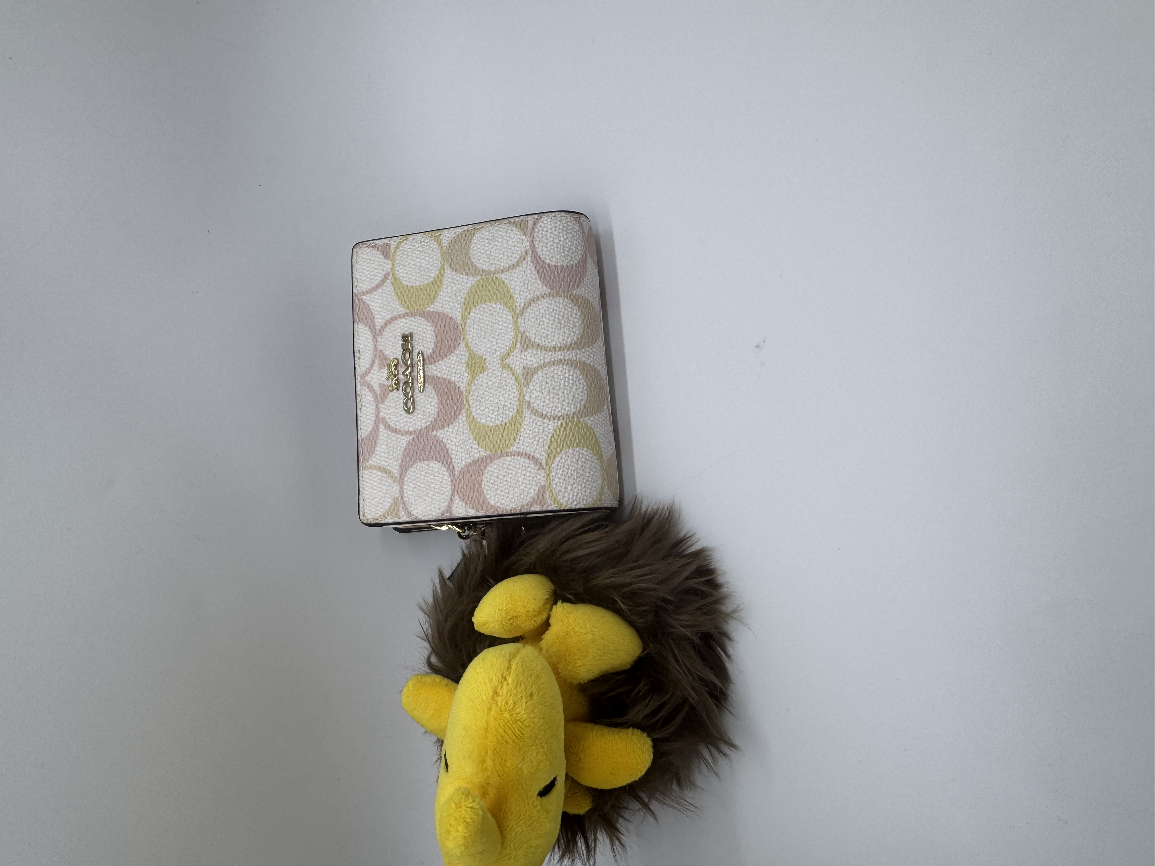 ✈️🇨🇦🇺🇸淡淡嘅彩色Signature C  pattern Coach Outlet 細銀包👛現貨🌈