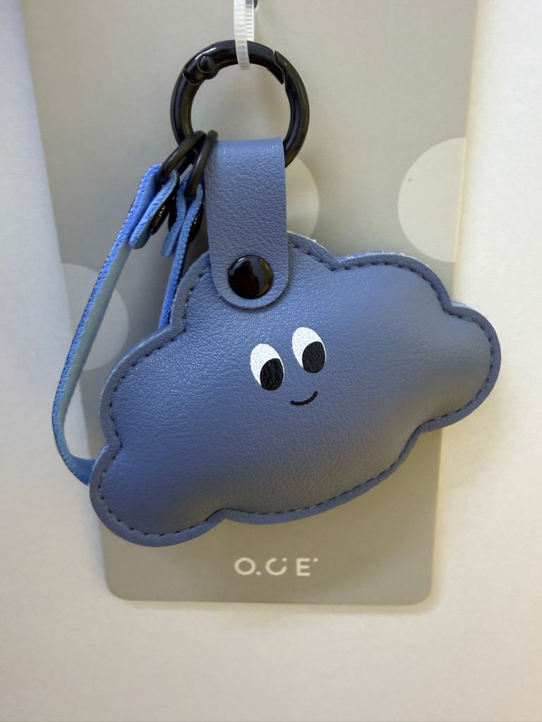 Stylish Hanging Bag Accessories 