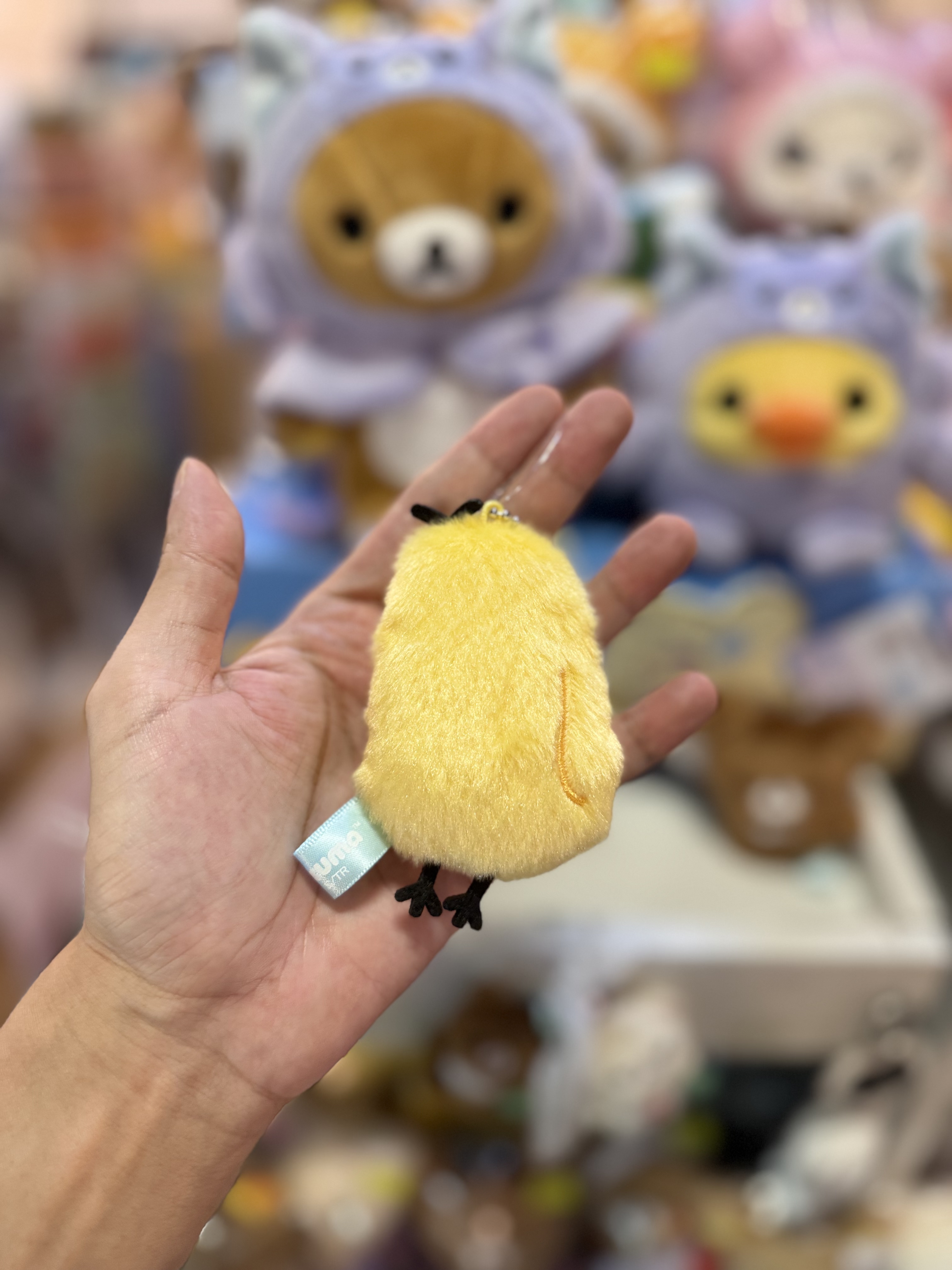 《現貨》全新Rilakkuma瓦瓦貓系列掛飾