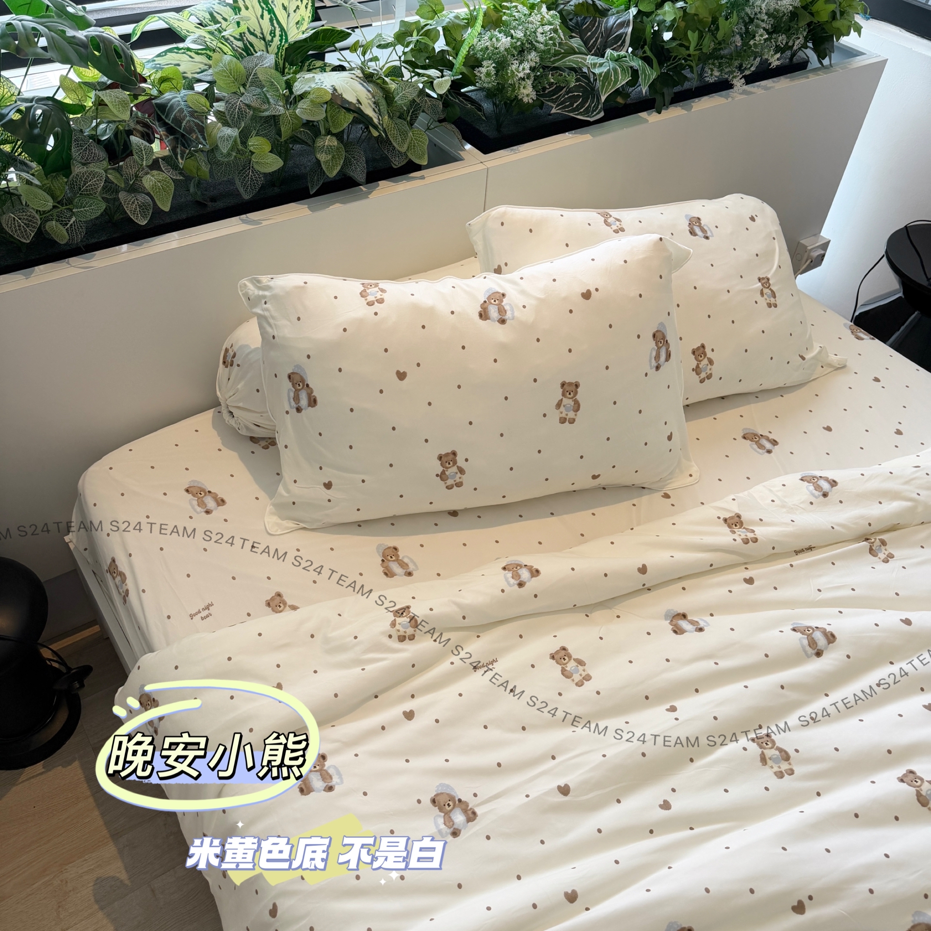 晚安小熊 K/Q/（SS预订）