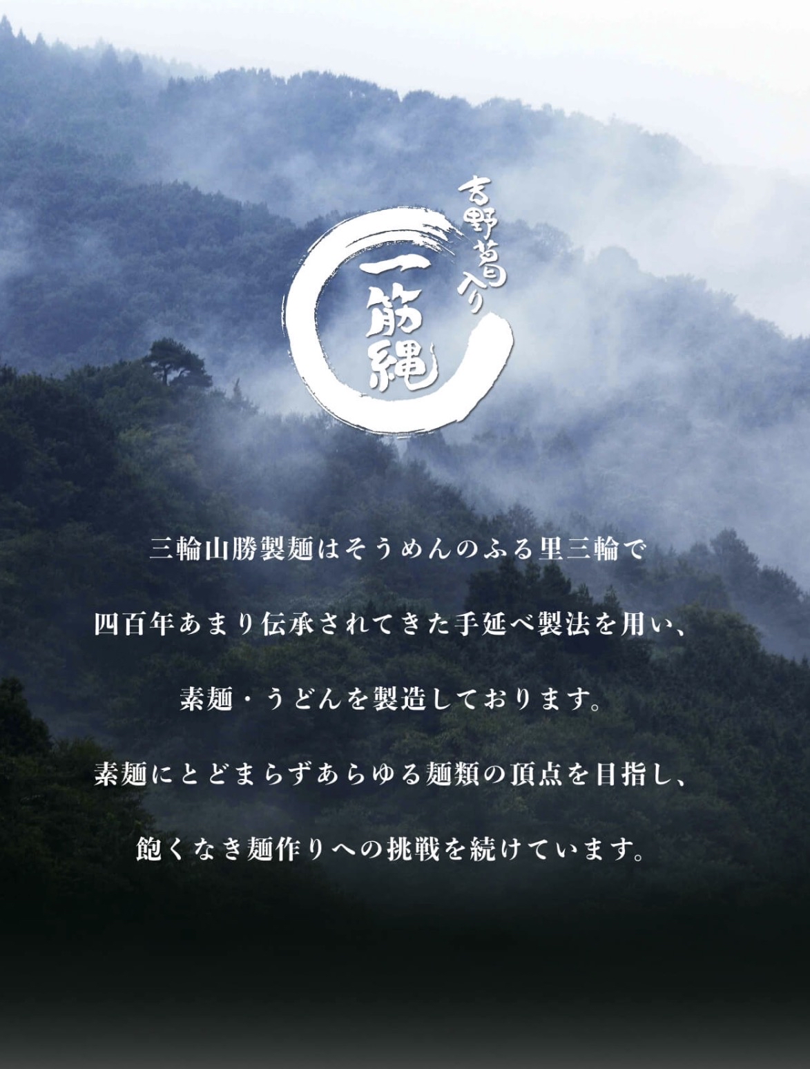 日本奈良一筋縄紅白烏冬（170g）