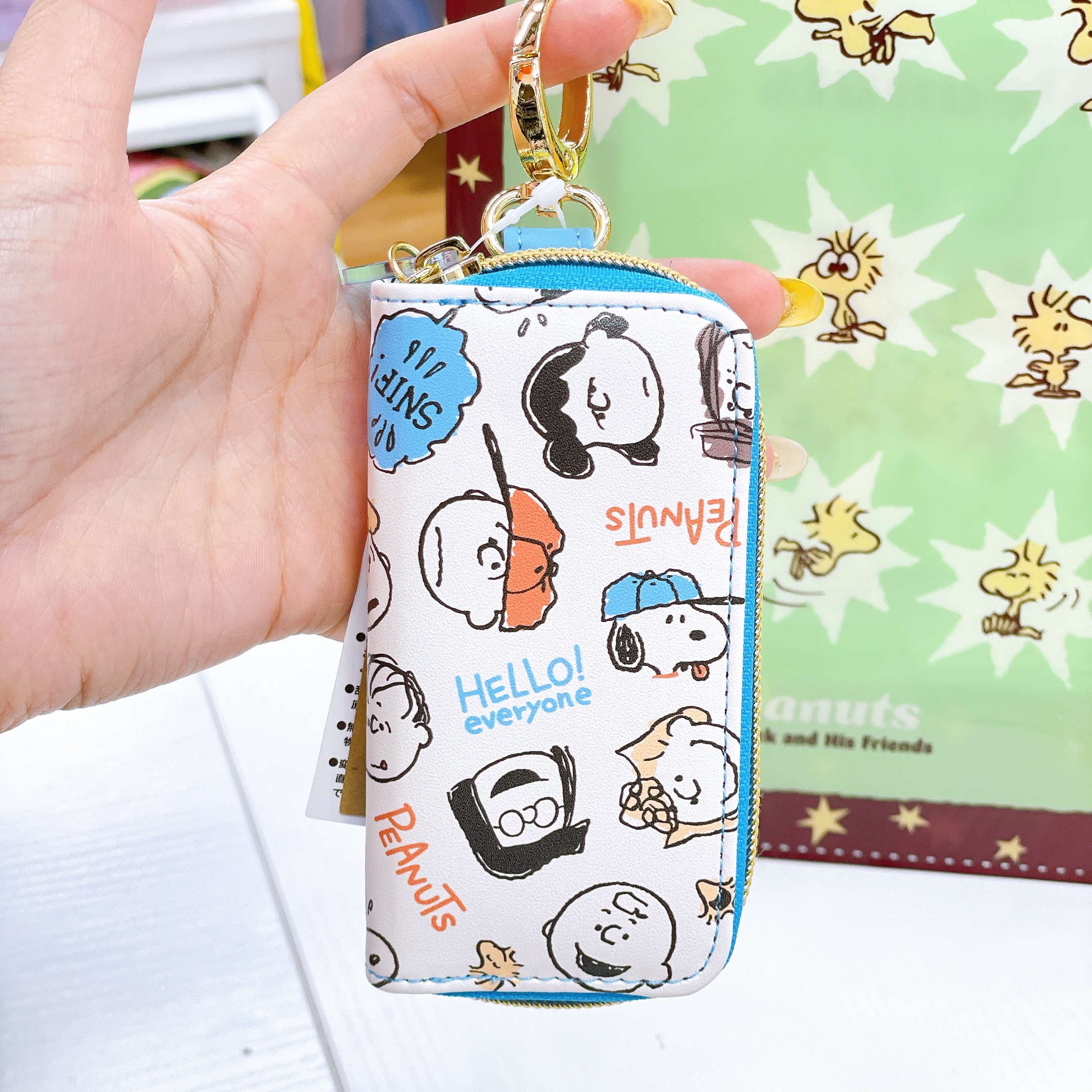 日本直送Snoopy Woodstock 新款文具系列眼鏡盒卡套File拉鏈袋環保袋