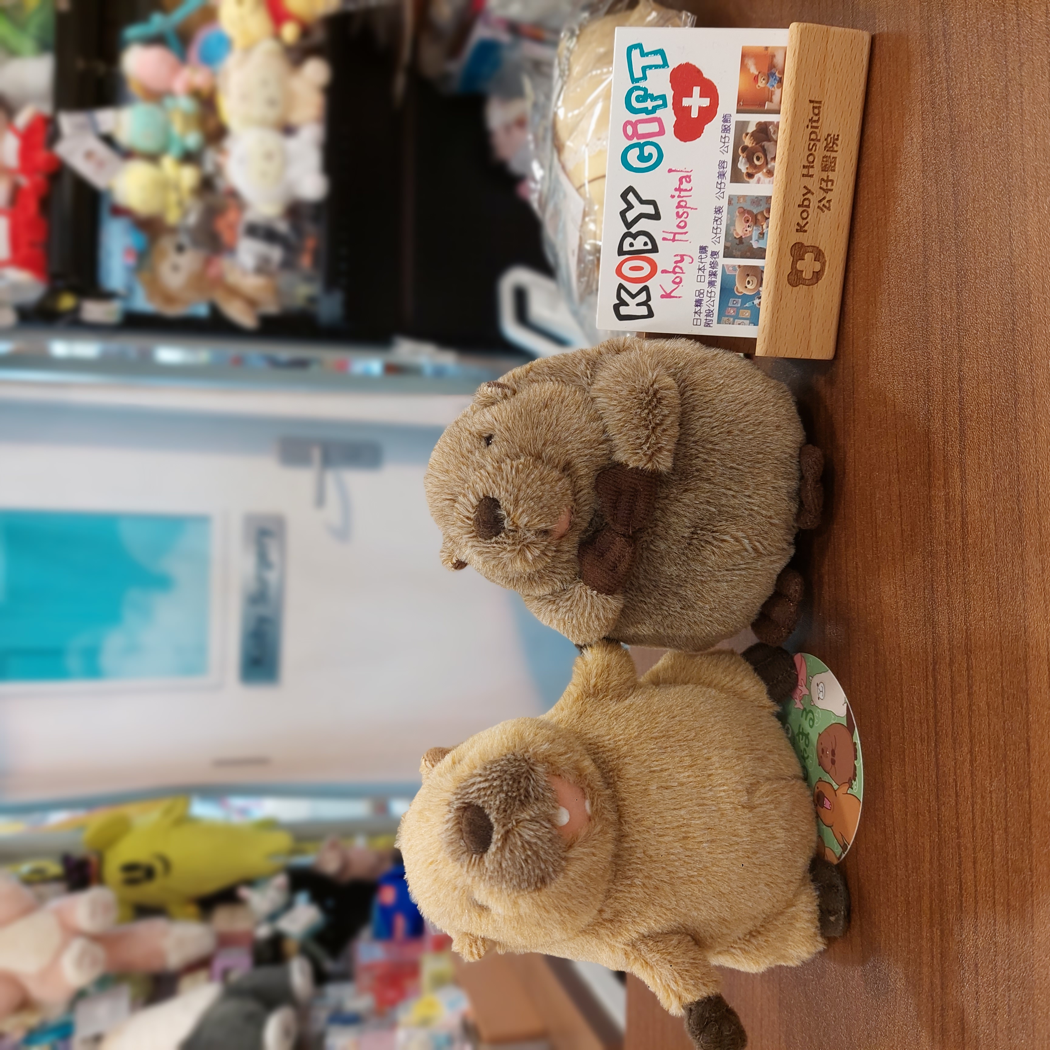 原裝日本可愛之選 土撥鼠 ＆ 小海狸公仔Beaver ＆ Marmot 小公仔 11- 12cm
