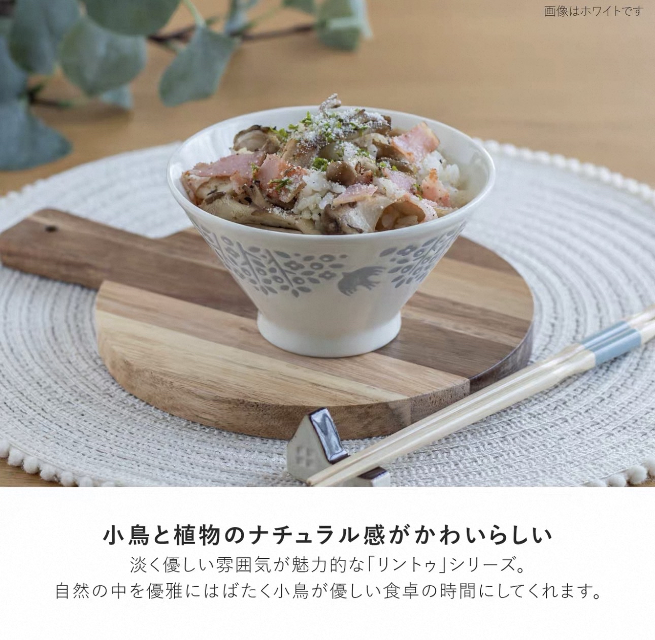 日本製LINTU美濃焼小鳥和植物陶瓷餐具