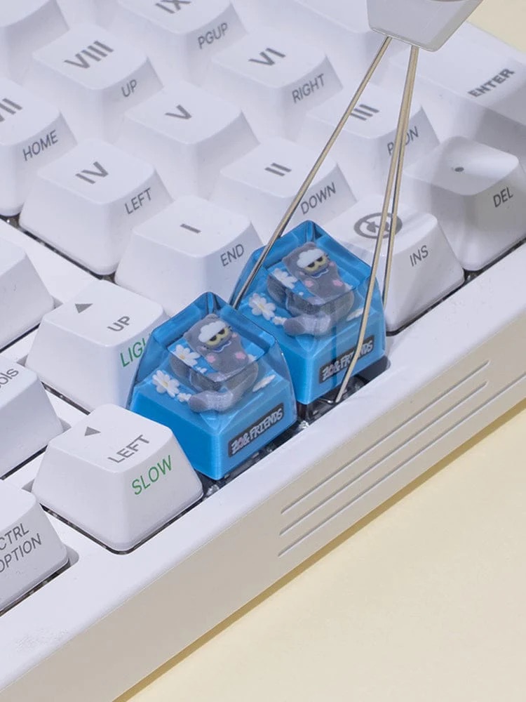 📦訂購 韓國代購 ZO&FRIENDS ZOA RESIN KEYCAPS 灰貓樹脂鍵帽