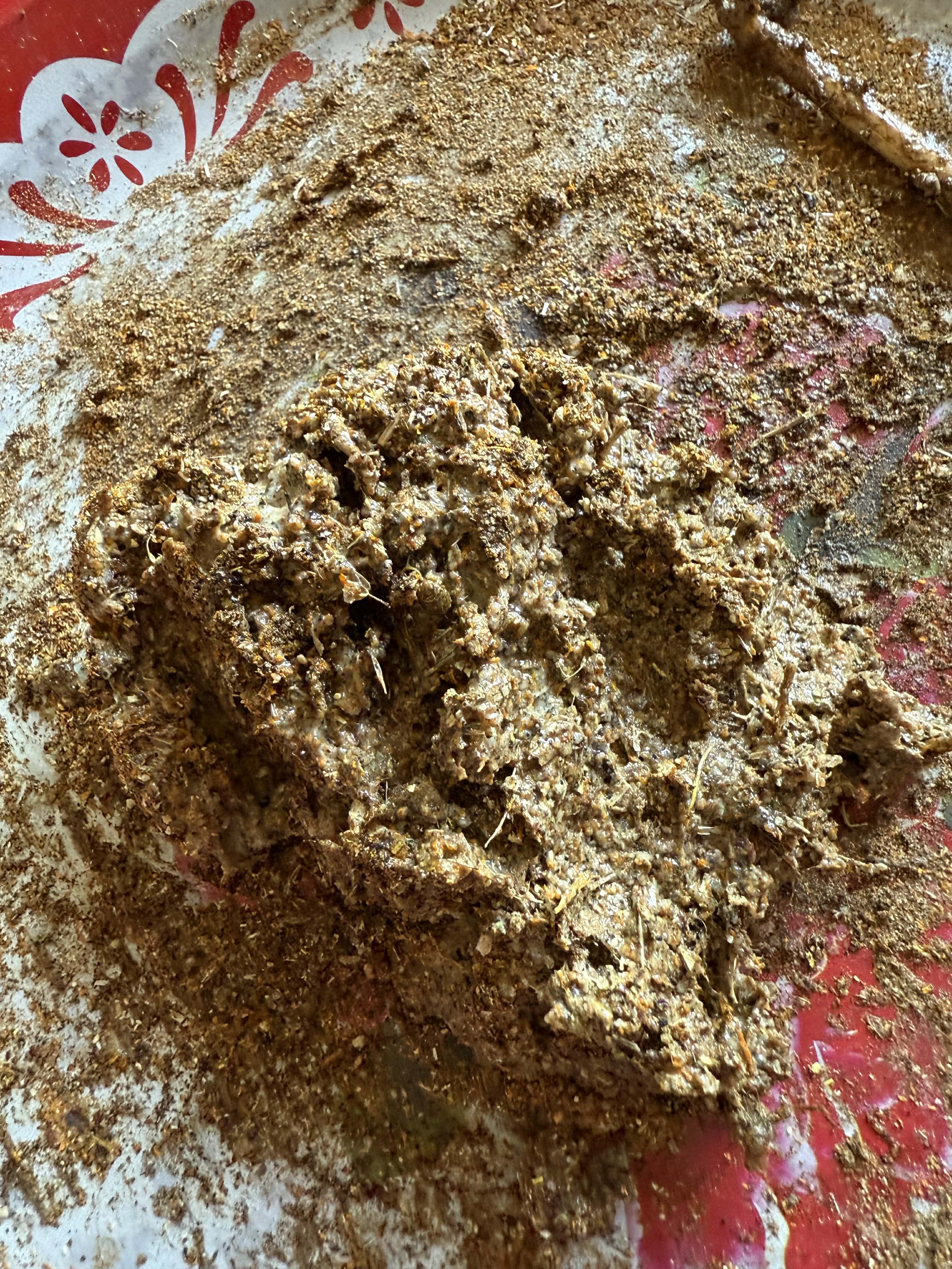 🧚‍♀️天神的老師🧚🏻‍♀️灣馬哈喇，灣朵通 阿贊普理