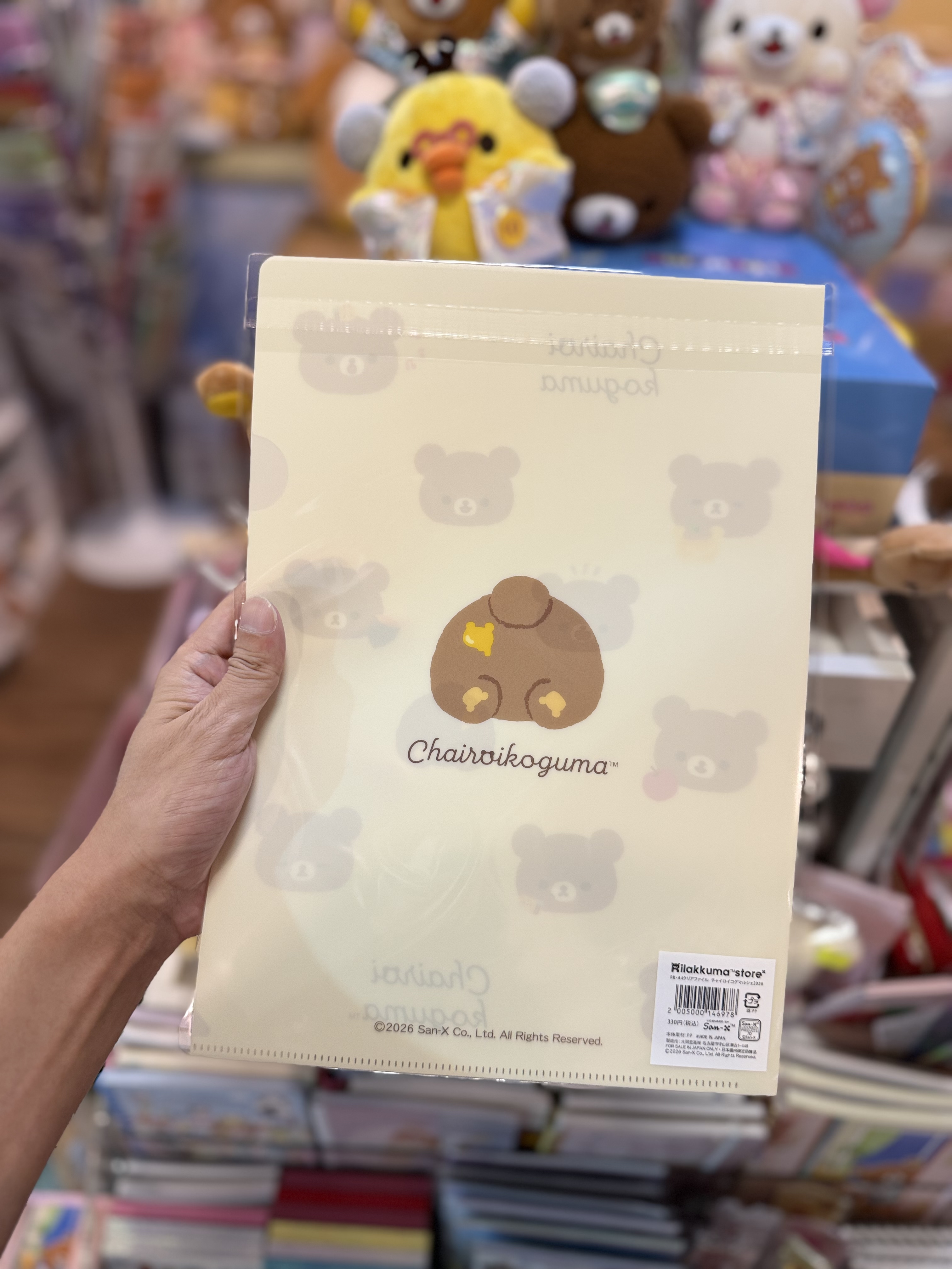 《現貨》全新日本專店限定小熊10週年 小熊A4 file