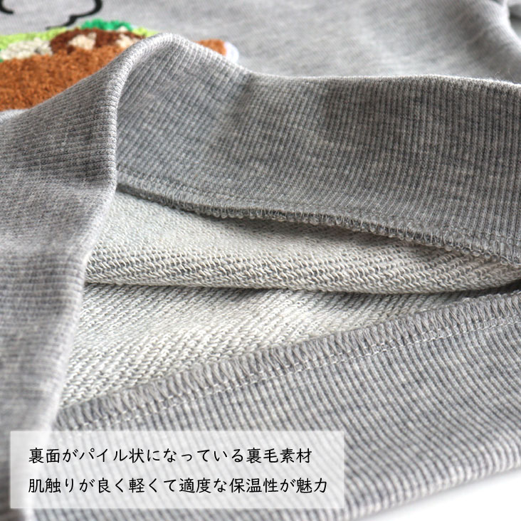 🆕【⭐訂購⭐】 🇯🇵日本直送 🌀 日本品牌 食物圖案刺繡衛衣［6款選］🌀 [PLJA-0121] [261110]