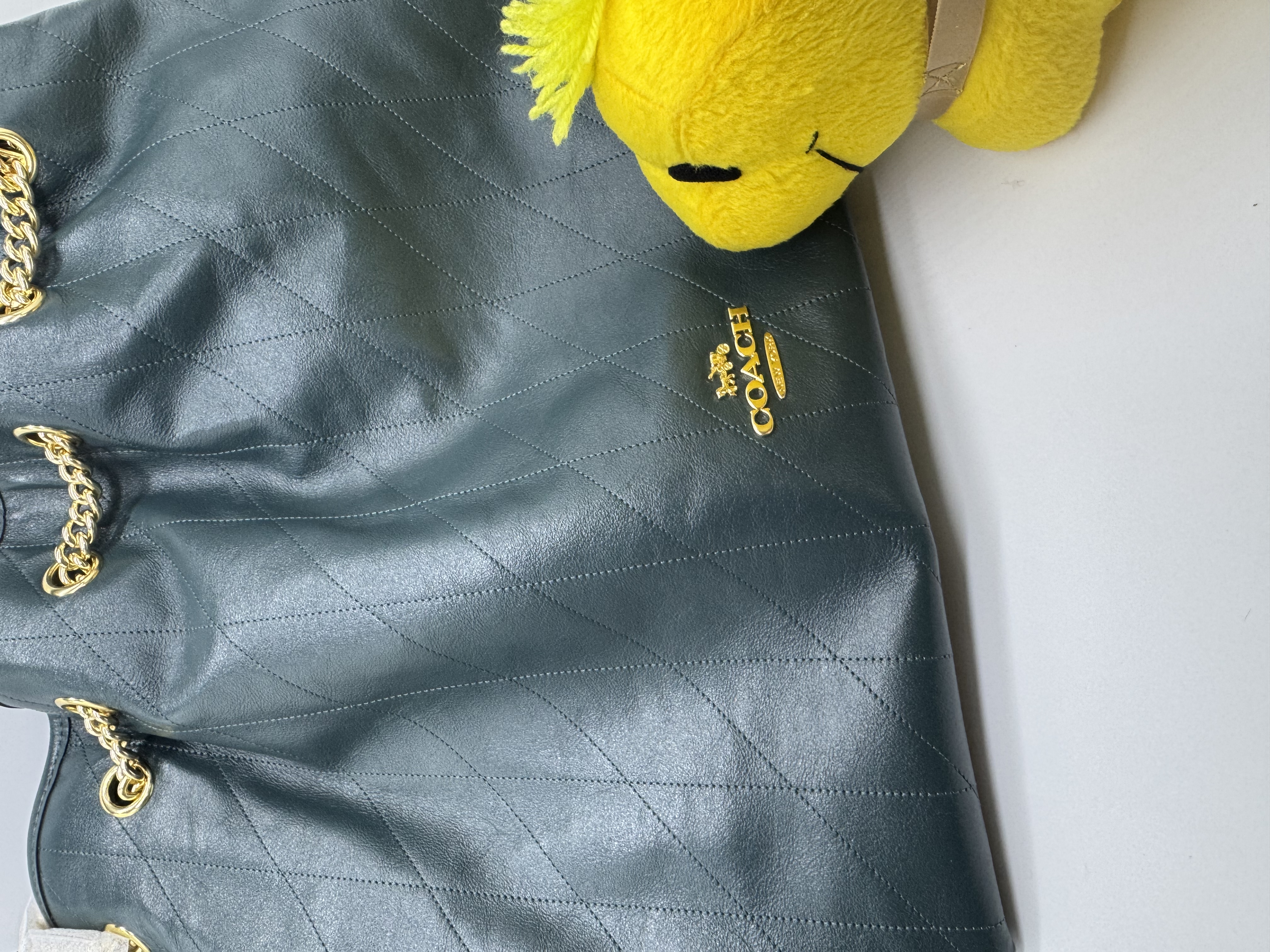 ✈️🇺🇸🇨🇦特別色又唔重嘅Coach EVELYN 絎縫細節大號單肩手袋💚🤩🤩