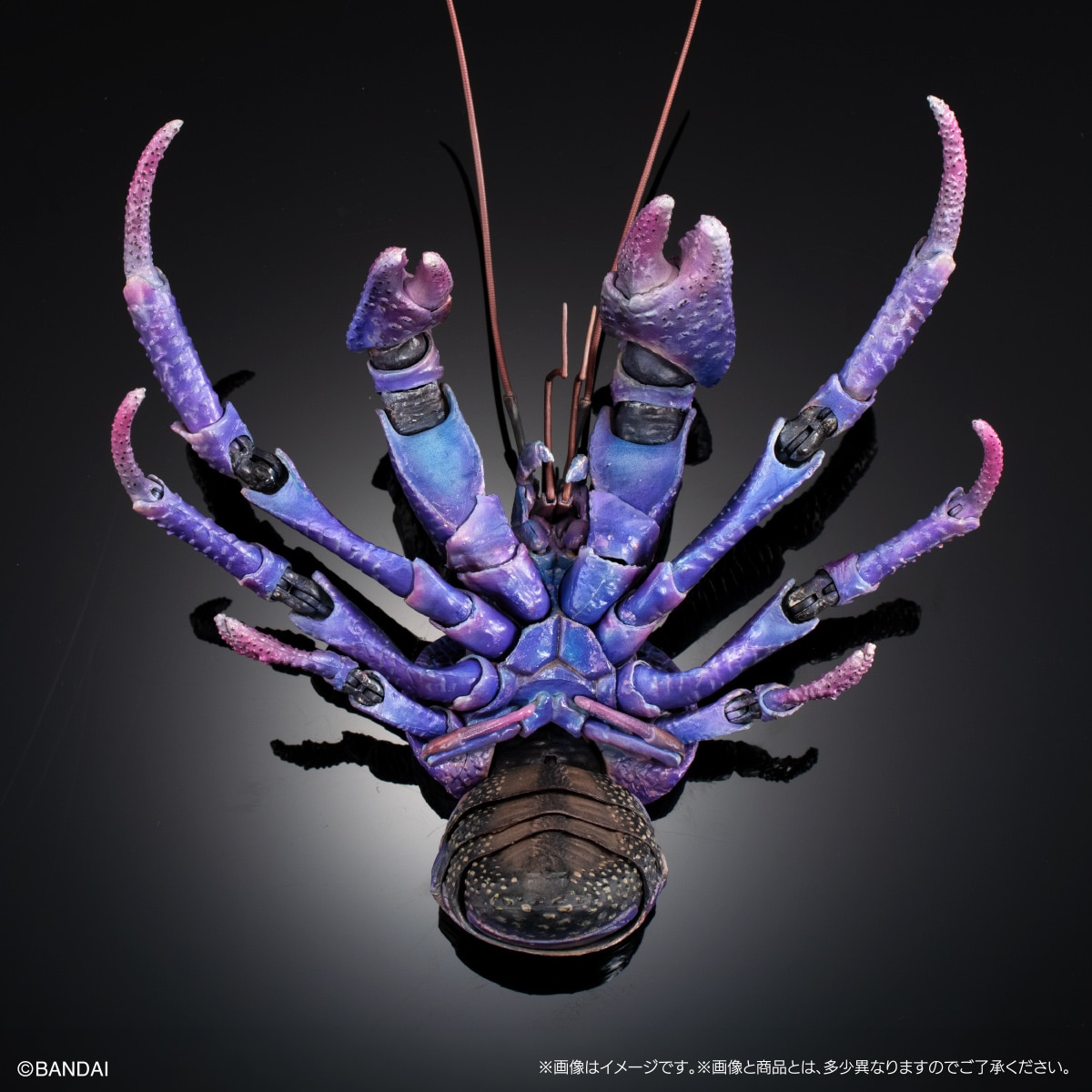 (預訂訂金 $200) (總價 $471) (Gashapon Online 限定) Bandai 生物大圖鑑 Premium 椰子蟹 (紫色) 扭蛋 (行版) Birgus Latro (Purple Color)