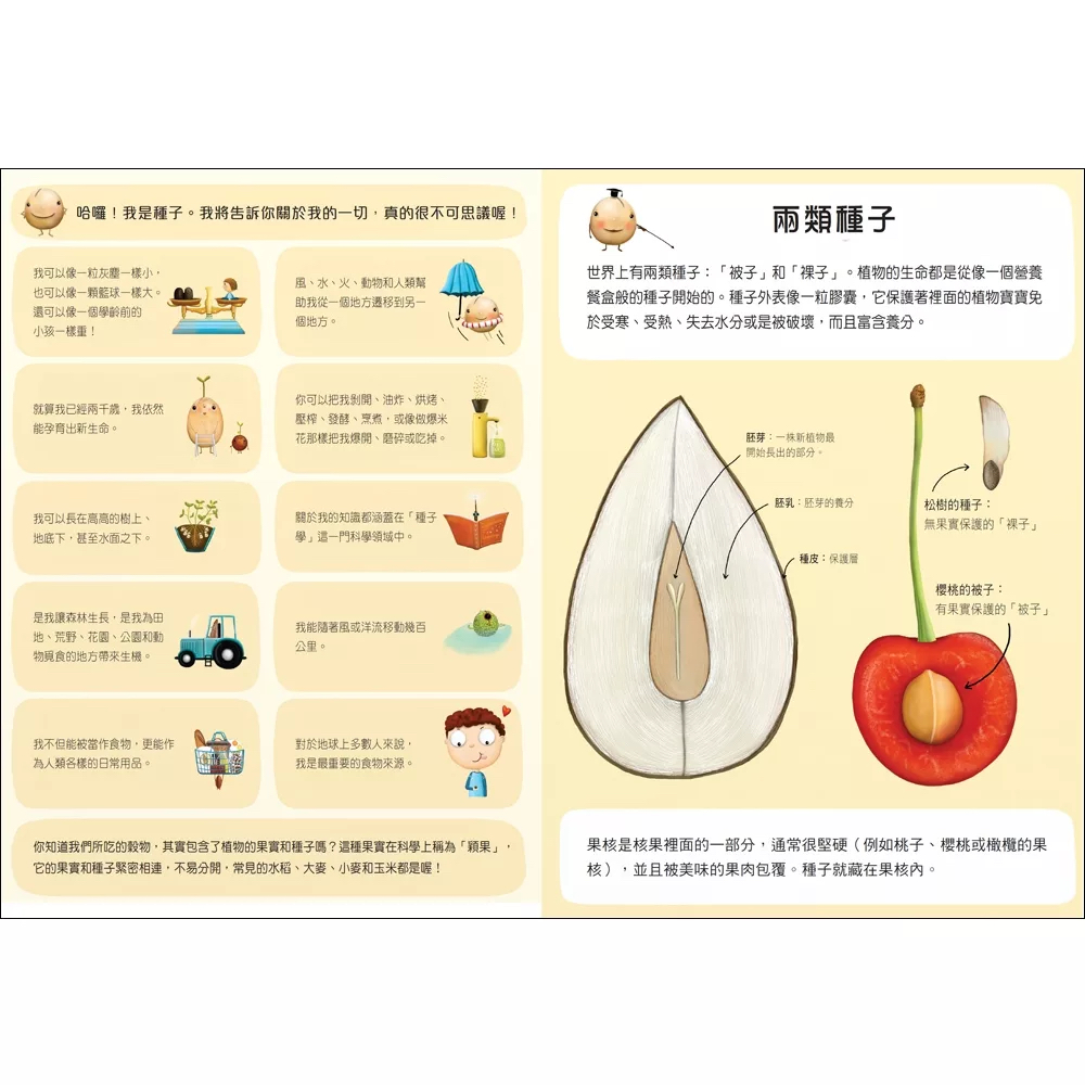 🔸預購貨品🔸神奇的種子