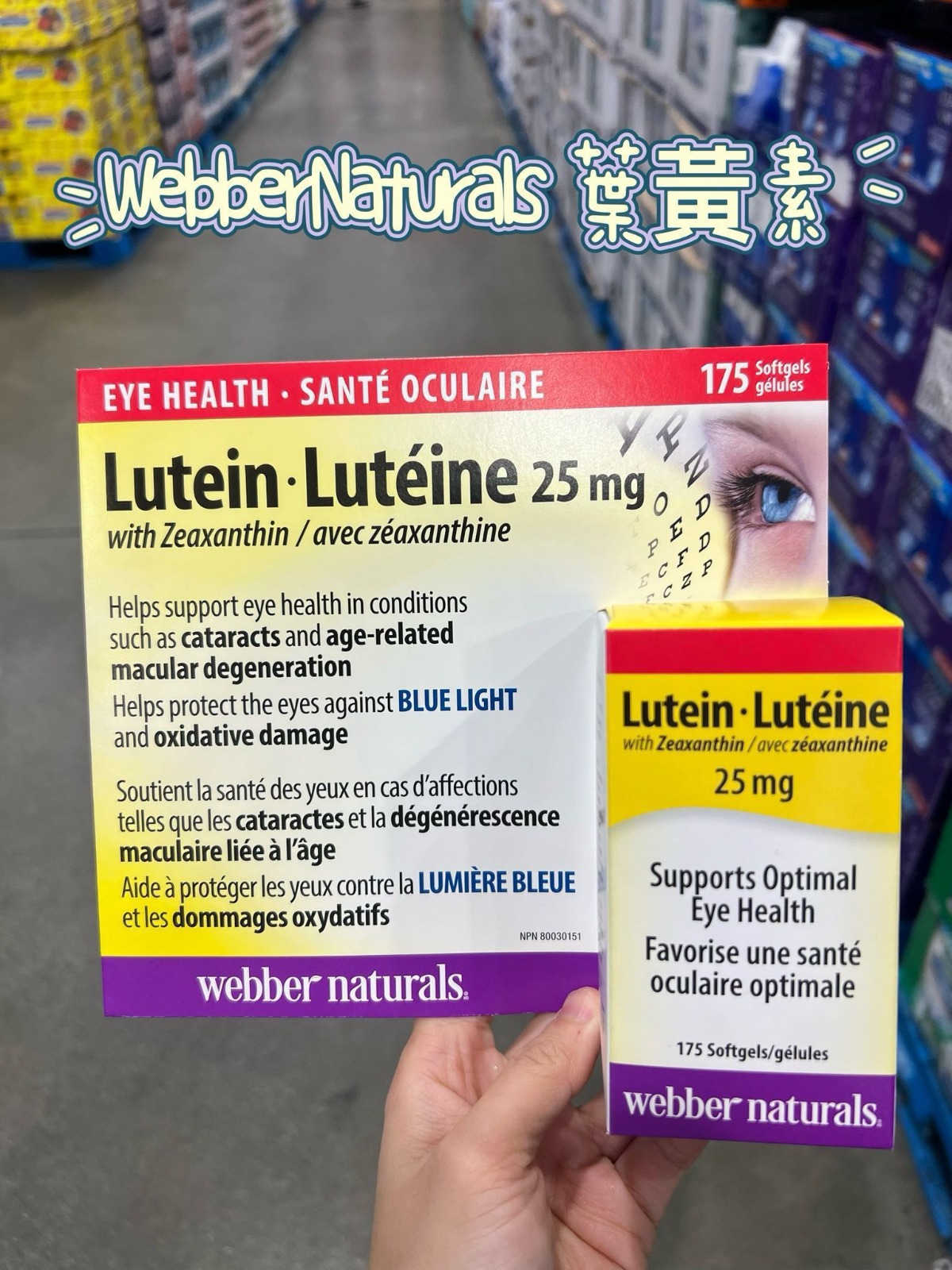 加拿大 Webber Naturals 強效葉黃素 175粒裝-預計6月中到貨