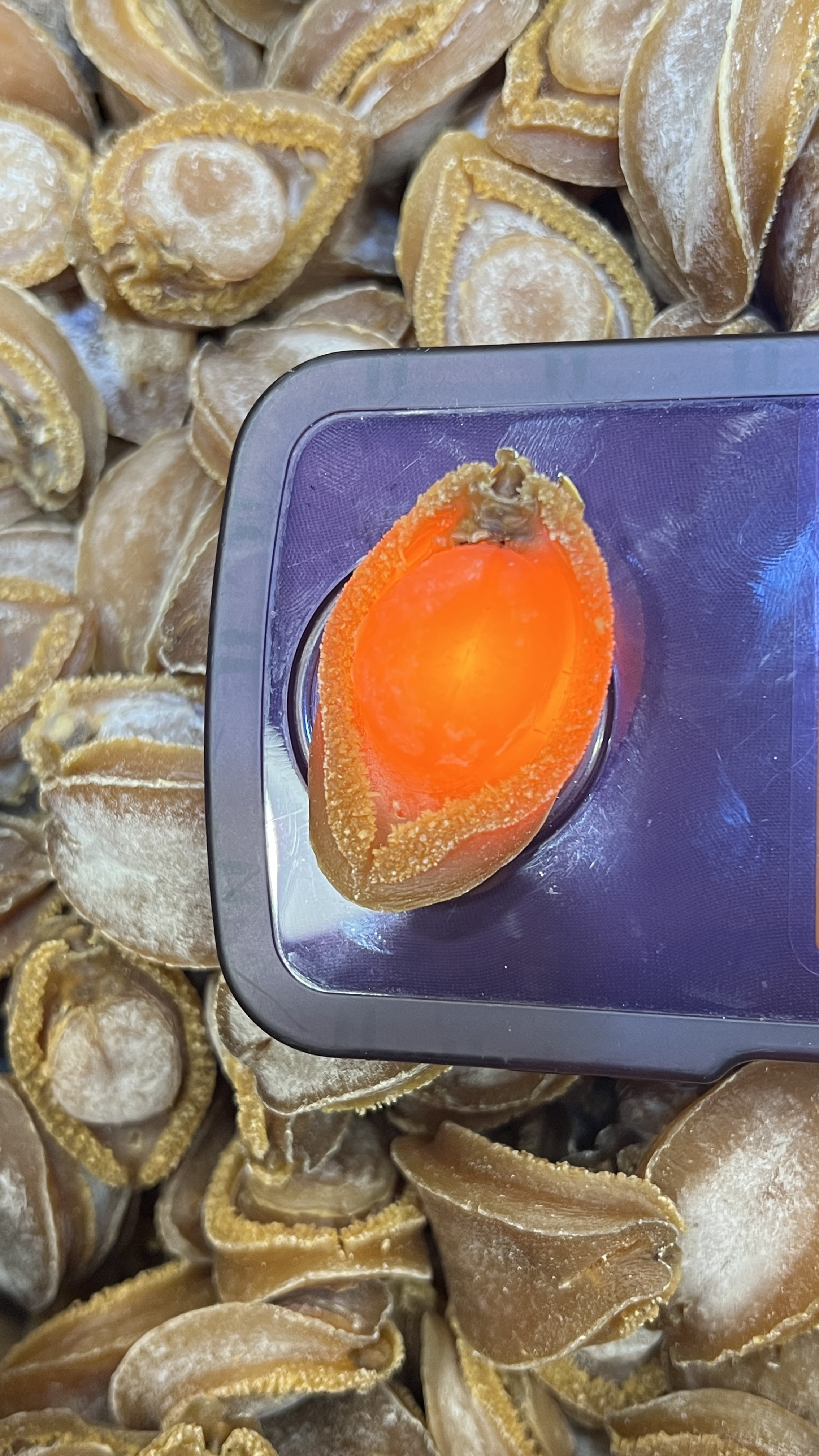 南非吉品鮑魚40至45隻