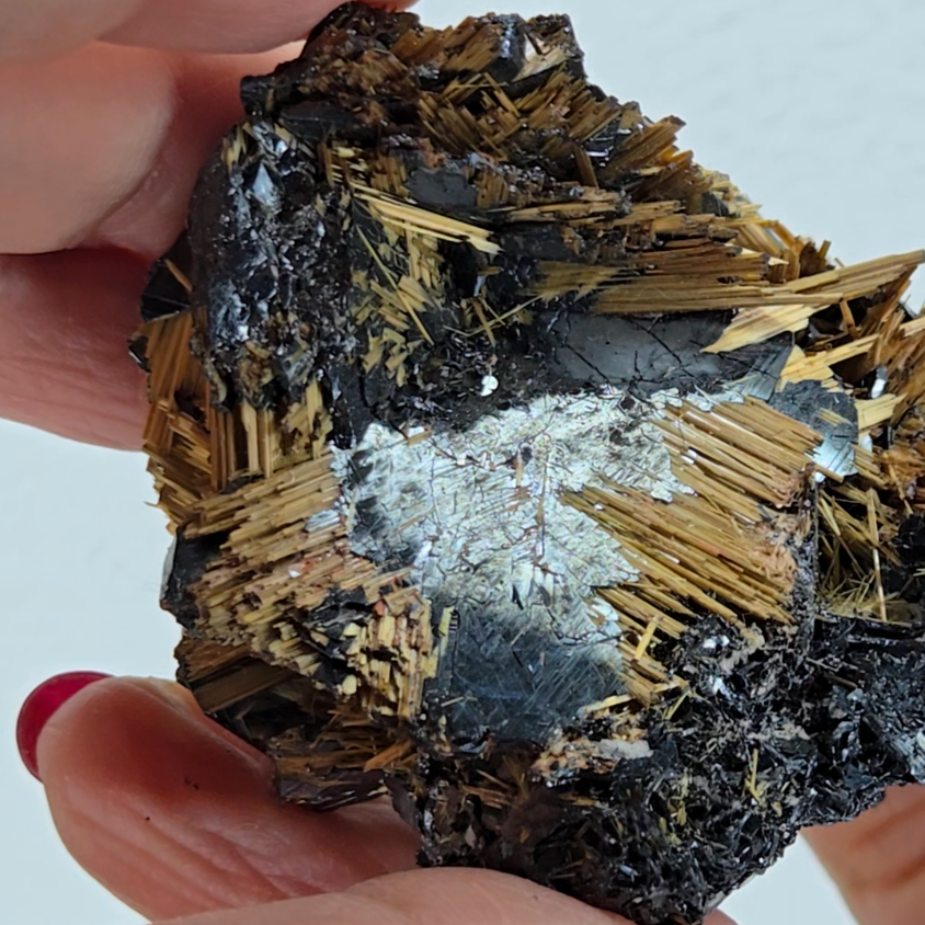 Golden exposed starburst rutiles on black hematite - RT288