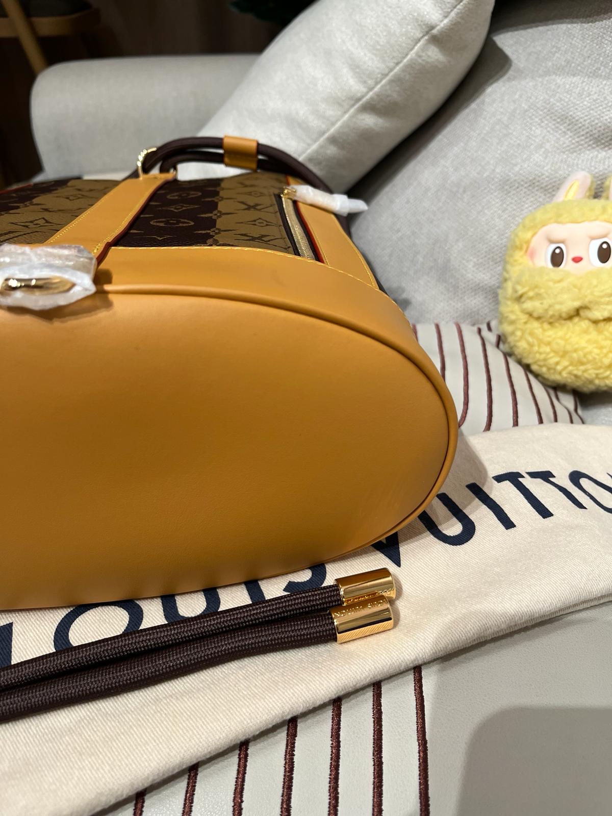 未使用品 LV x NIGO Randonee 聯名款水桶backpack 限量版 100%Authentic,未使用品 ✅塵袋