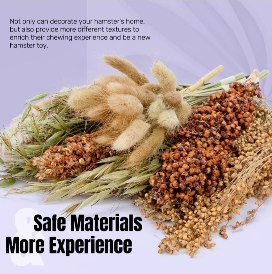 天然柔軟倉鼠寢具伴侶小動物棲息地裝飾適合敘利亞矮倉鼠沙鼠小鼠八齒鼠兔子或其他小型寵物