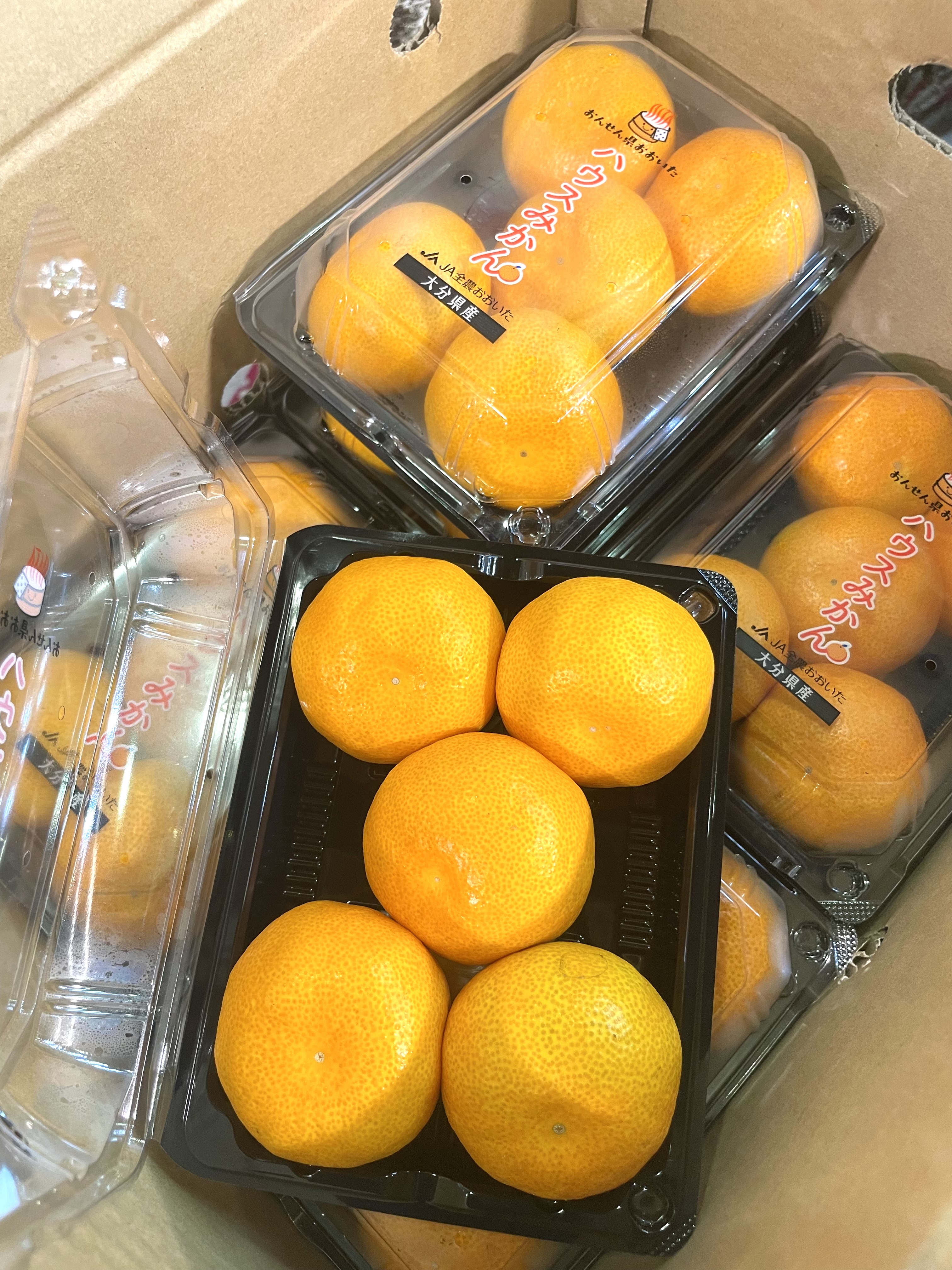 🇯🇵日本【大分縣蜜柑🍊】