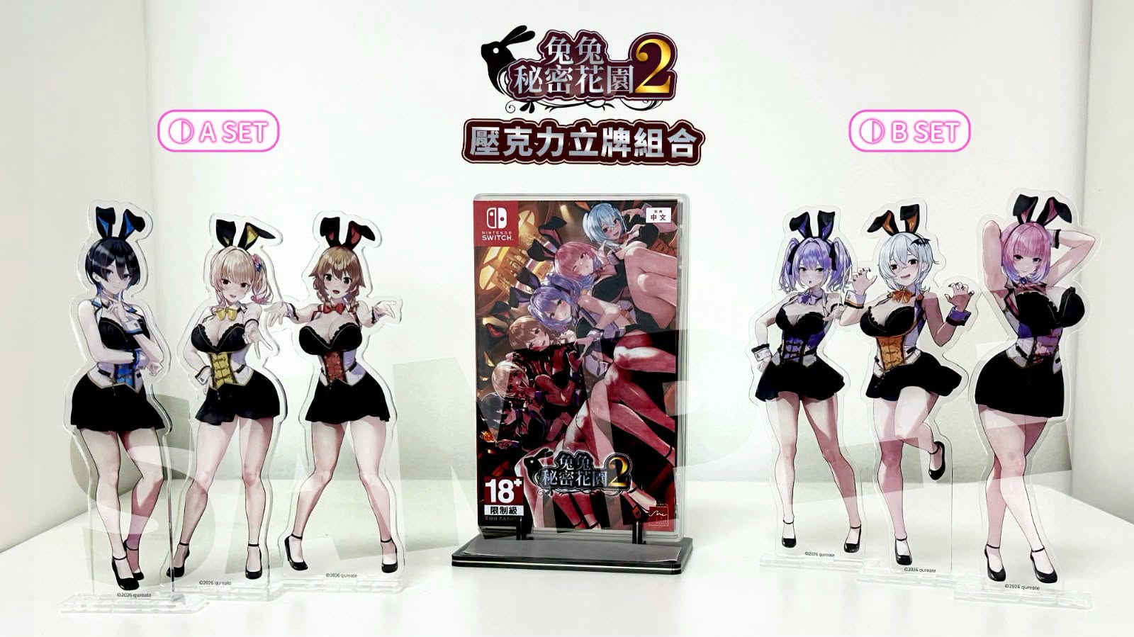 [現貨] [行版] NS 兔兔秘密花園 2 壓克力立牌同梱版B 中文版