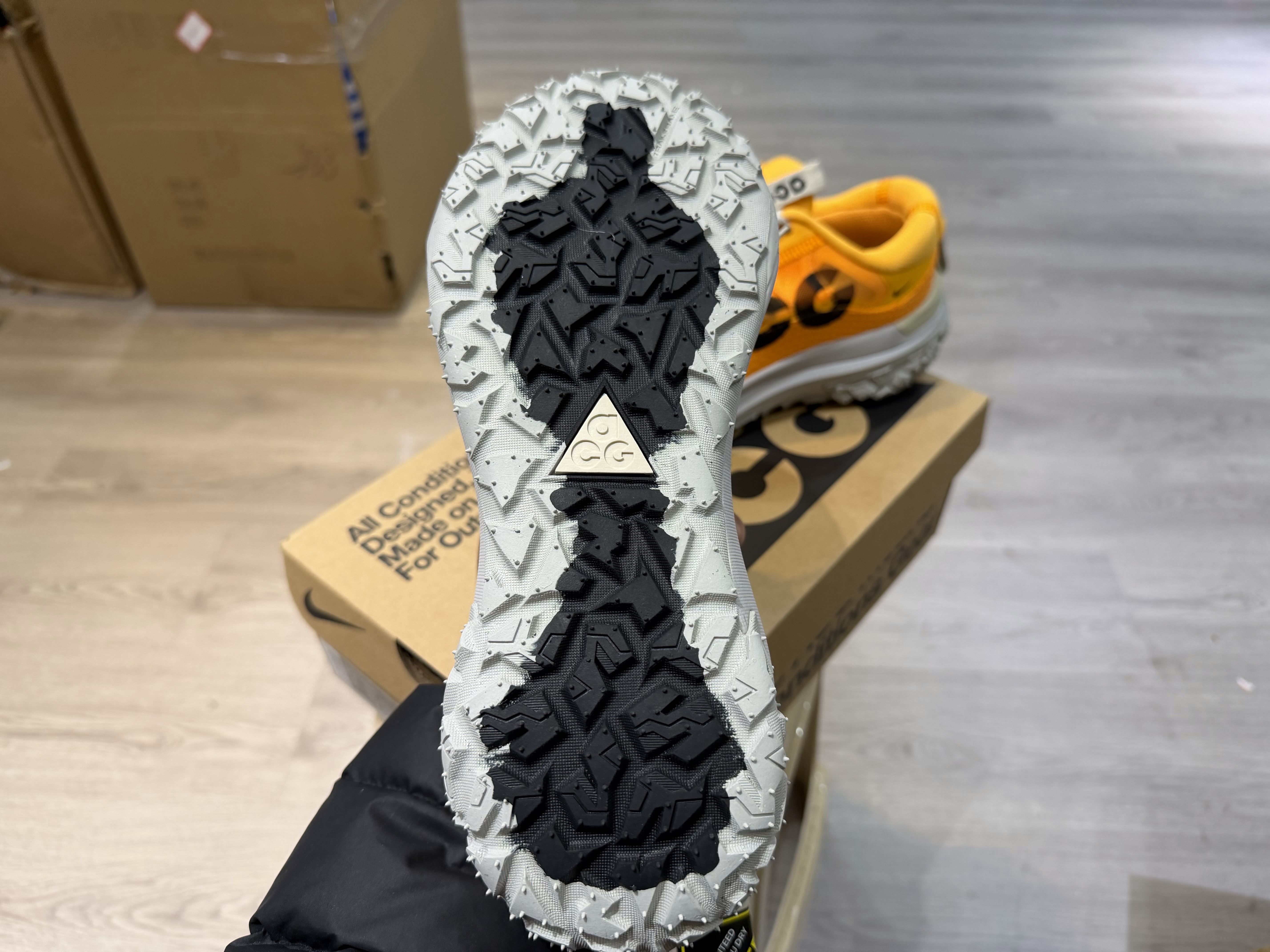 Nike ACG Mountain Fly 2 Low