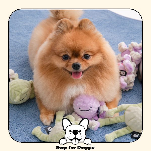 韓國 Bite Me 長手手玩具球