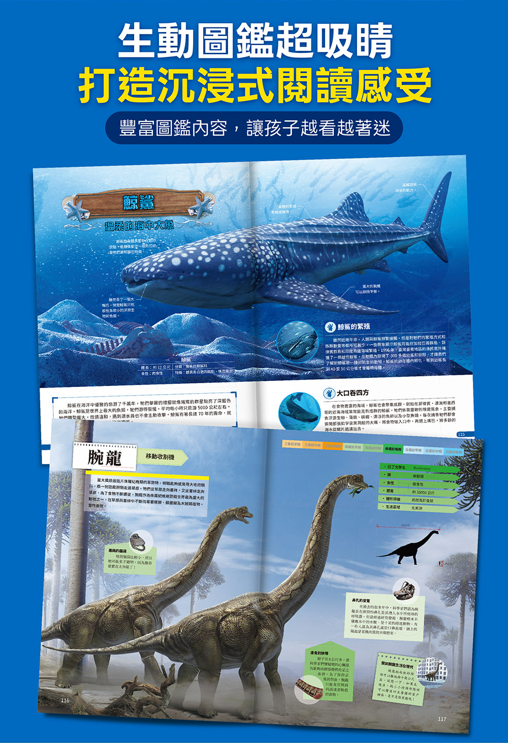 風車 動物大百科