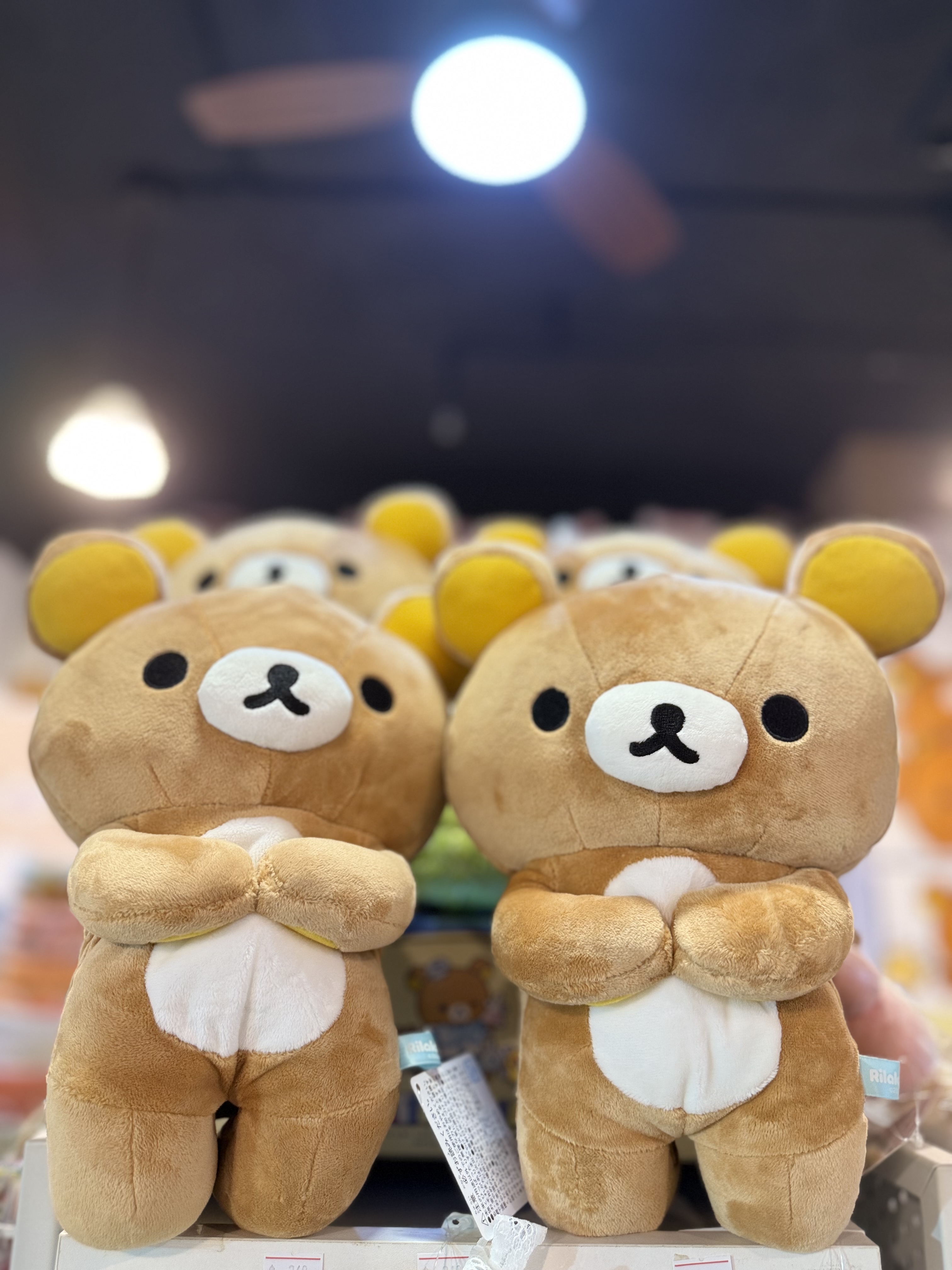 《現貨》全新Rilakkuma瓦瓦貓系列跪地公仔
