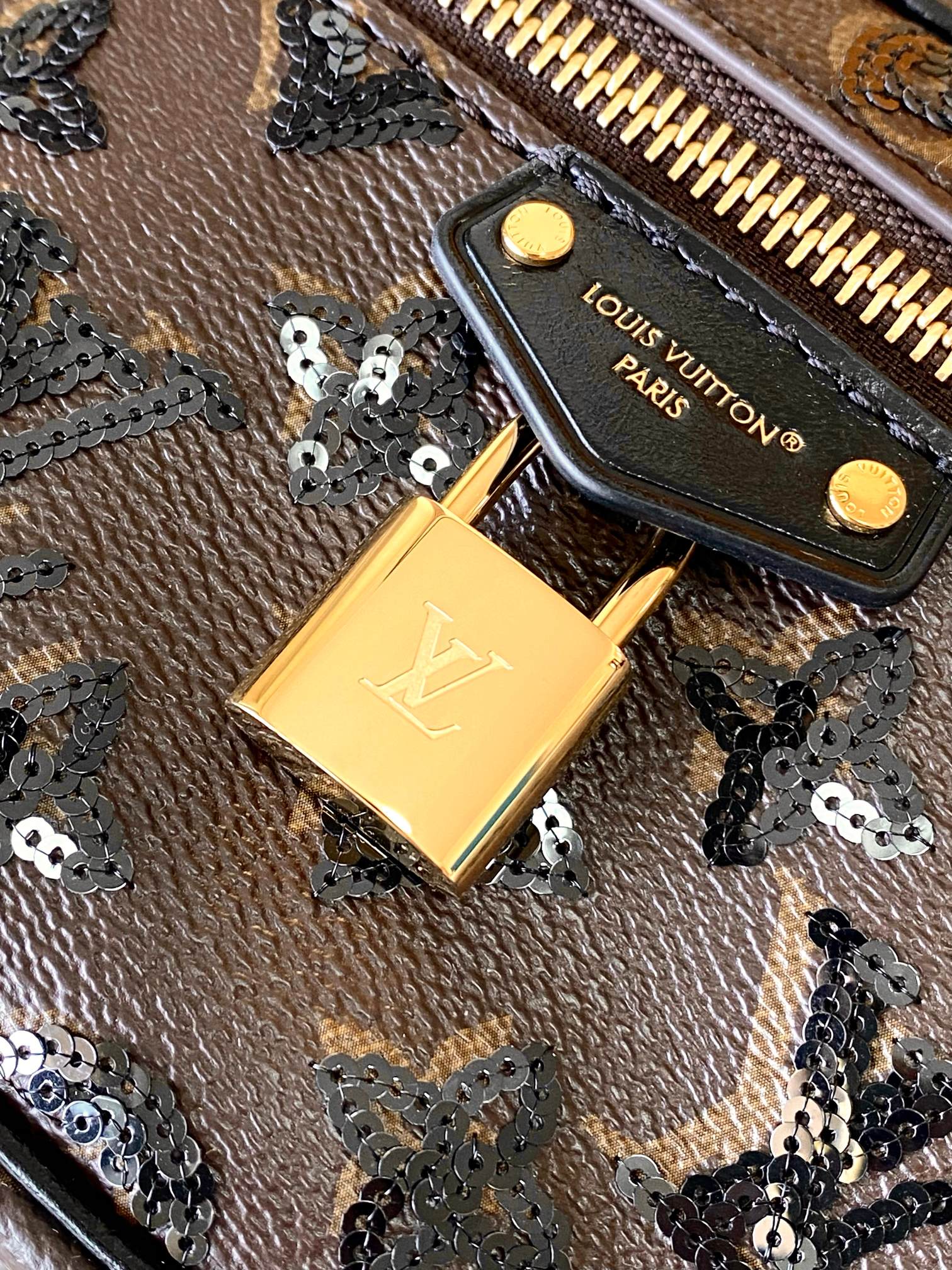 LV Louis Vuitton Vanity Chain Pouch 