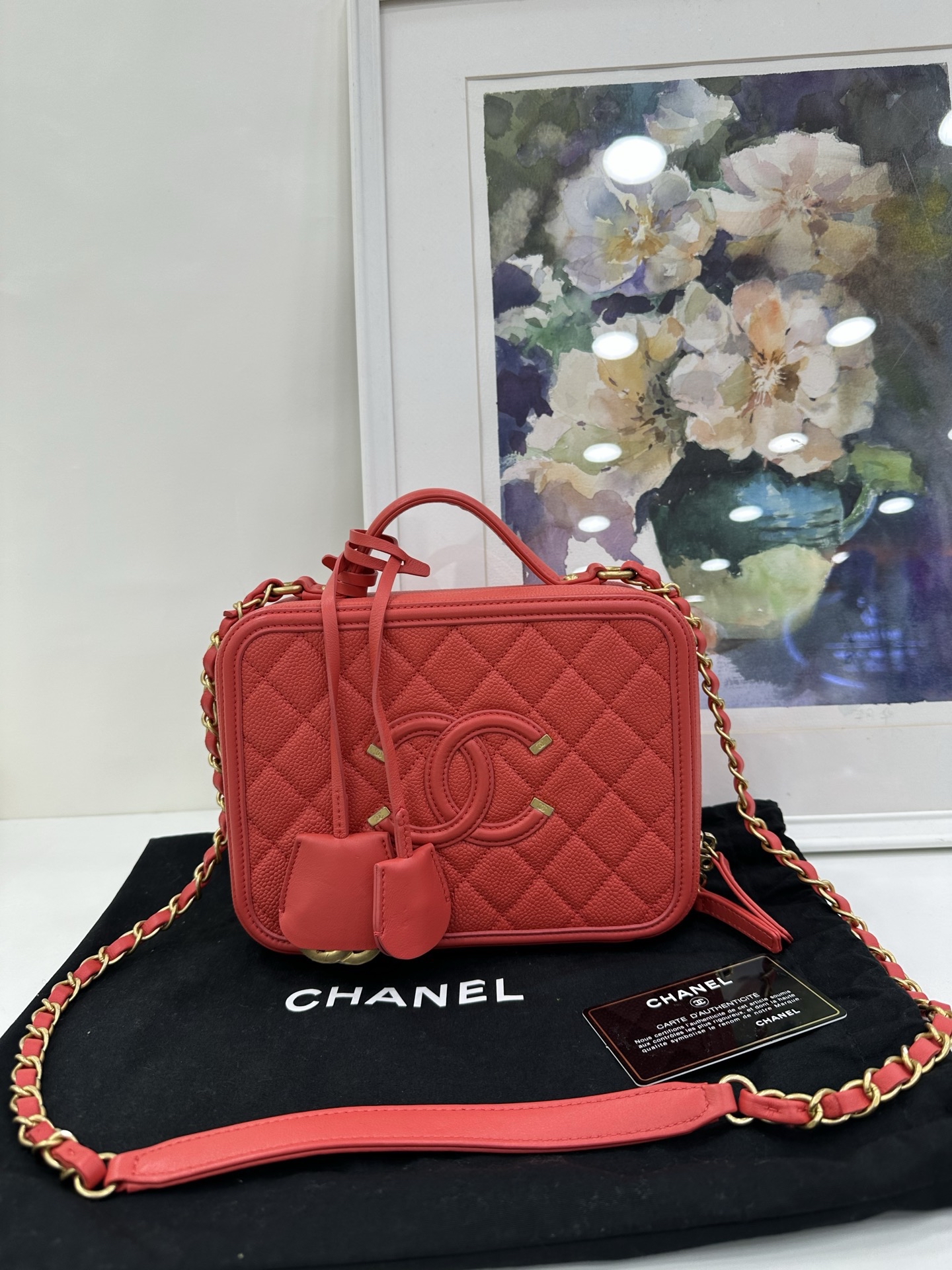 Pre-Owned CHANEL Vanity Camera Bag 