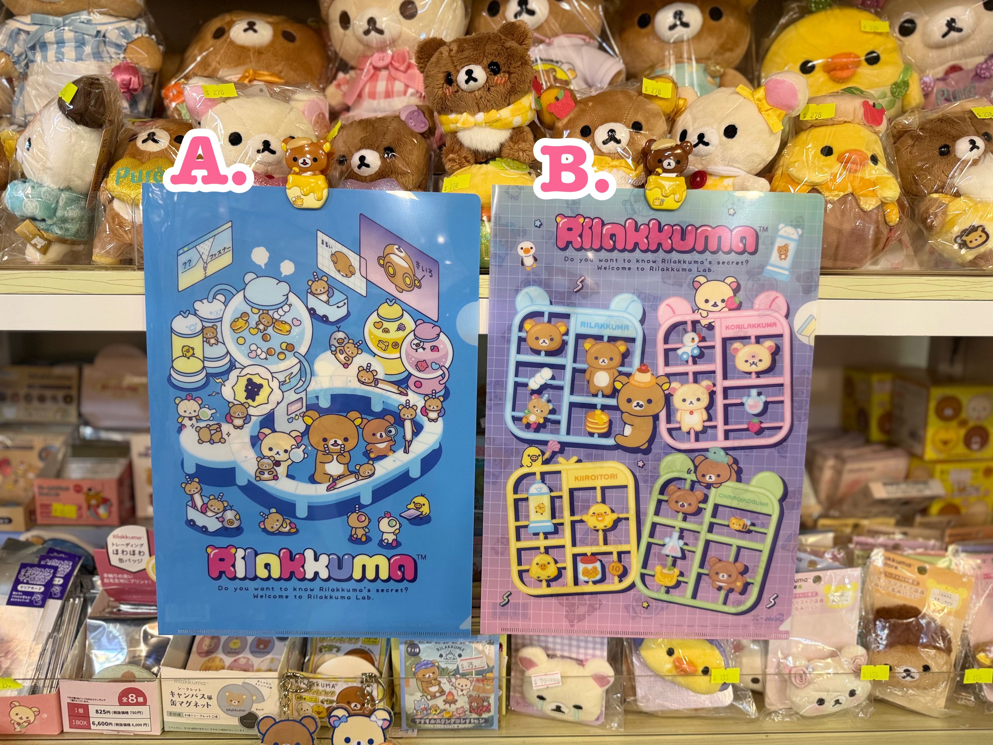 《現貨》全新rilakkuma 實驗室系列A4 單頁file