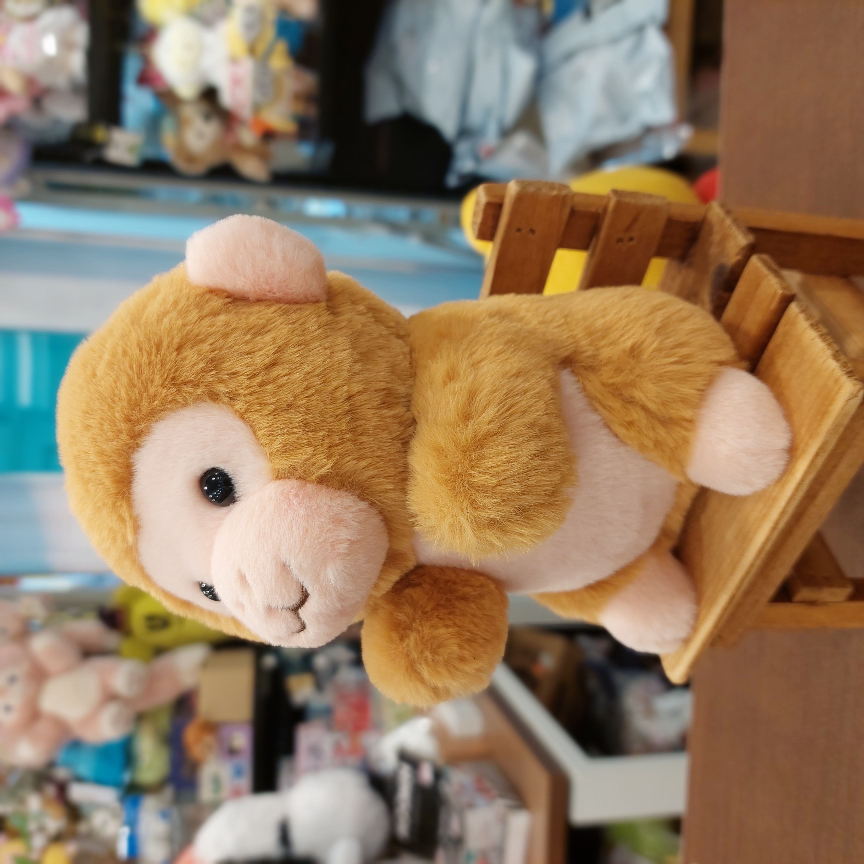 日本 市川動物園 ss size 馬騮仔 punchi 君 抽獎版