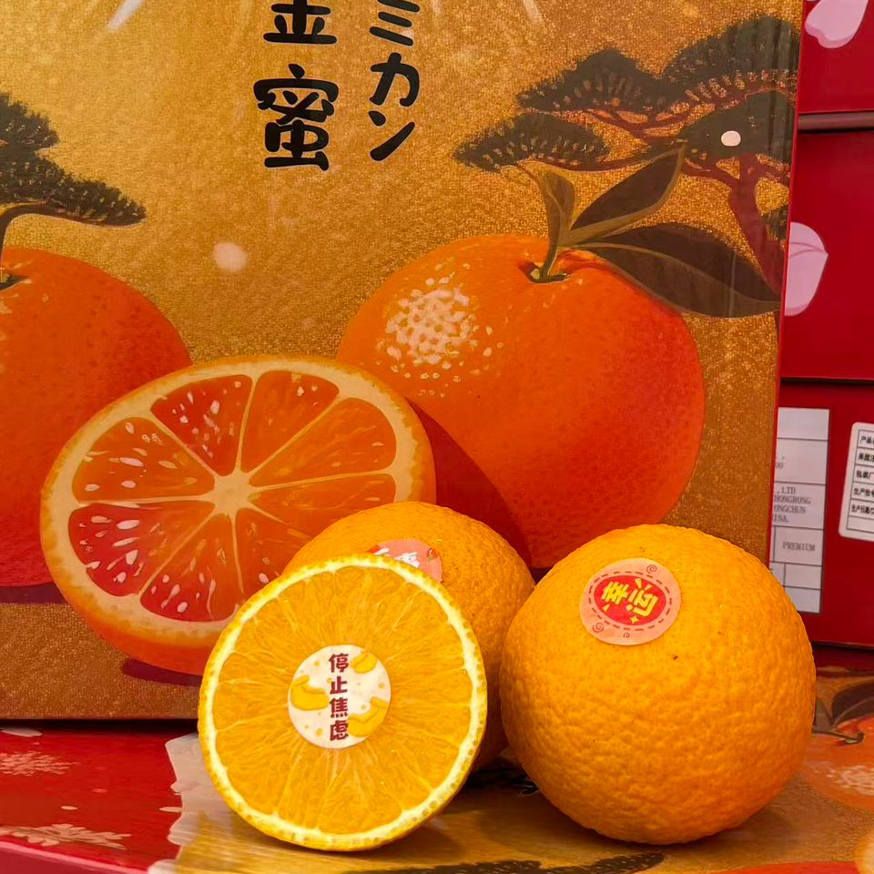 樱金蜜柑礼盒｜高糖度·爆汁·送礼首选 Sakura Gold Mandarin – Limited Edition  - 1CTN10PCS
