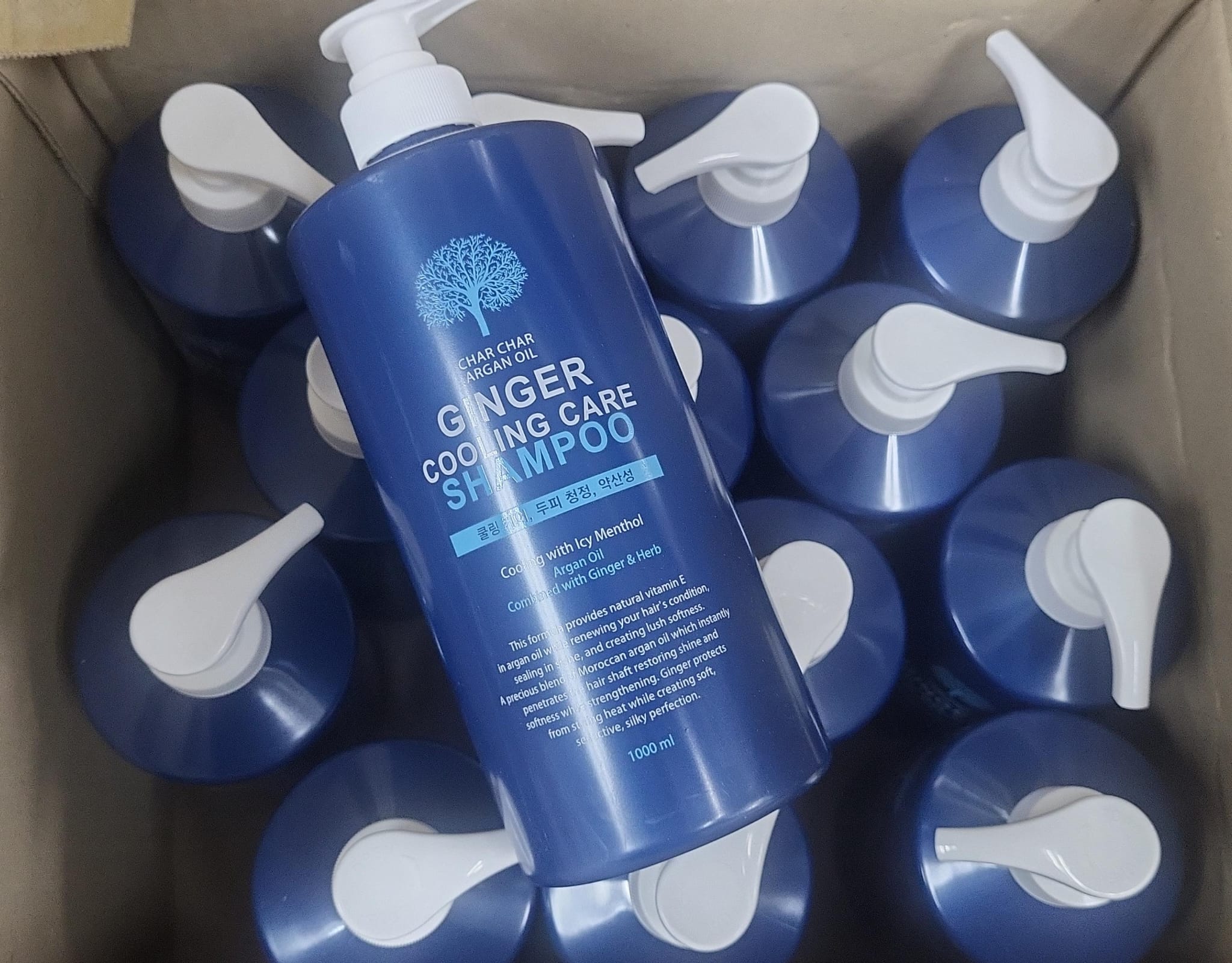 韓國🇰🇷Eva Char Char 摩洛哥油涼感生薑洗髮精 1000ml (現貨品)