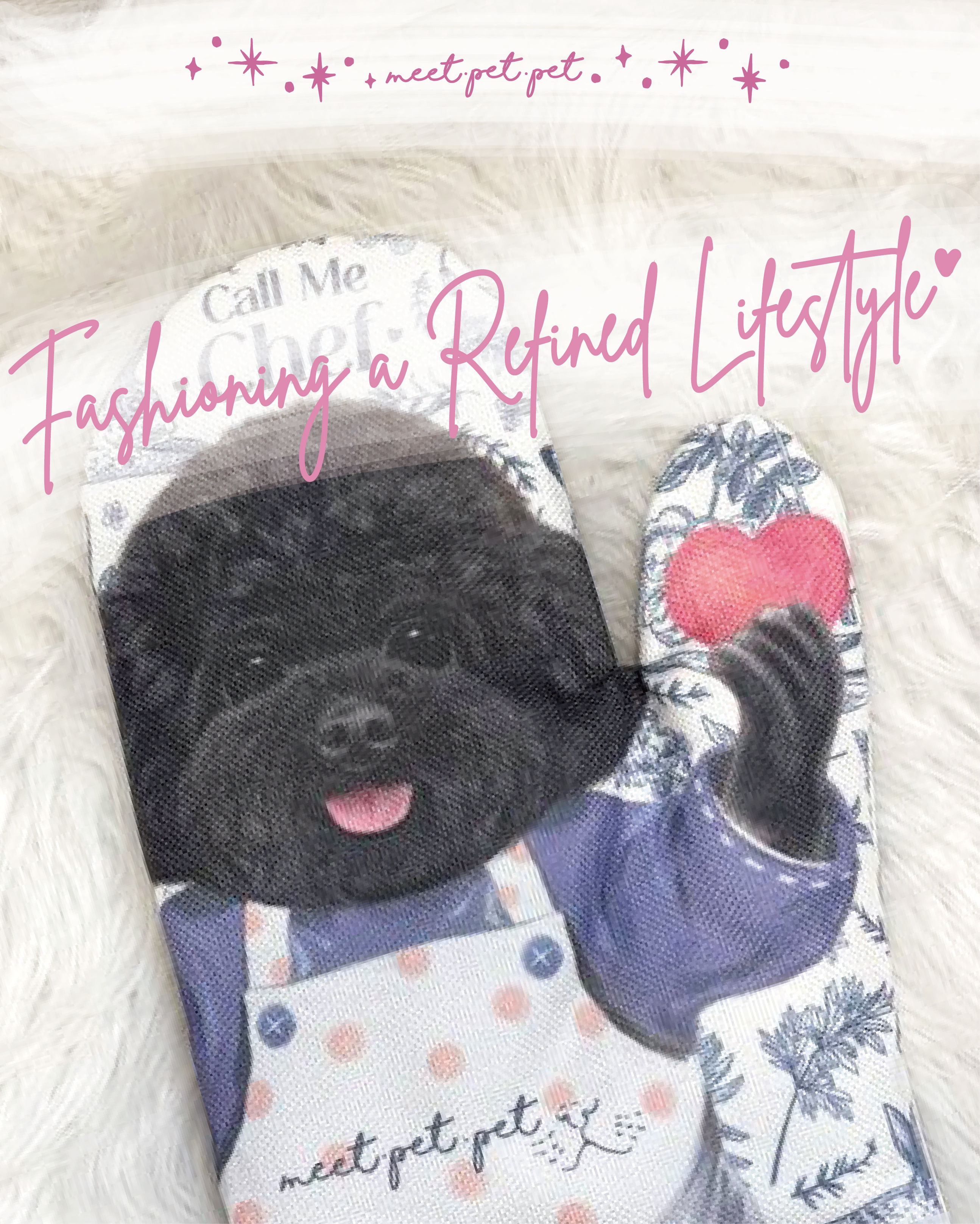 ⋆ 貴婦狗 ⋆ 隔熱手套 ⋆ Poodle ⋆