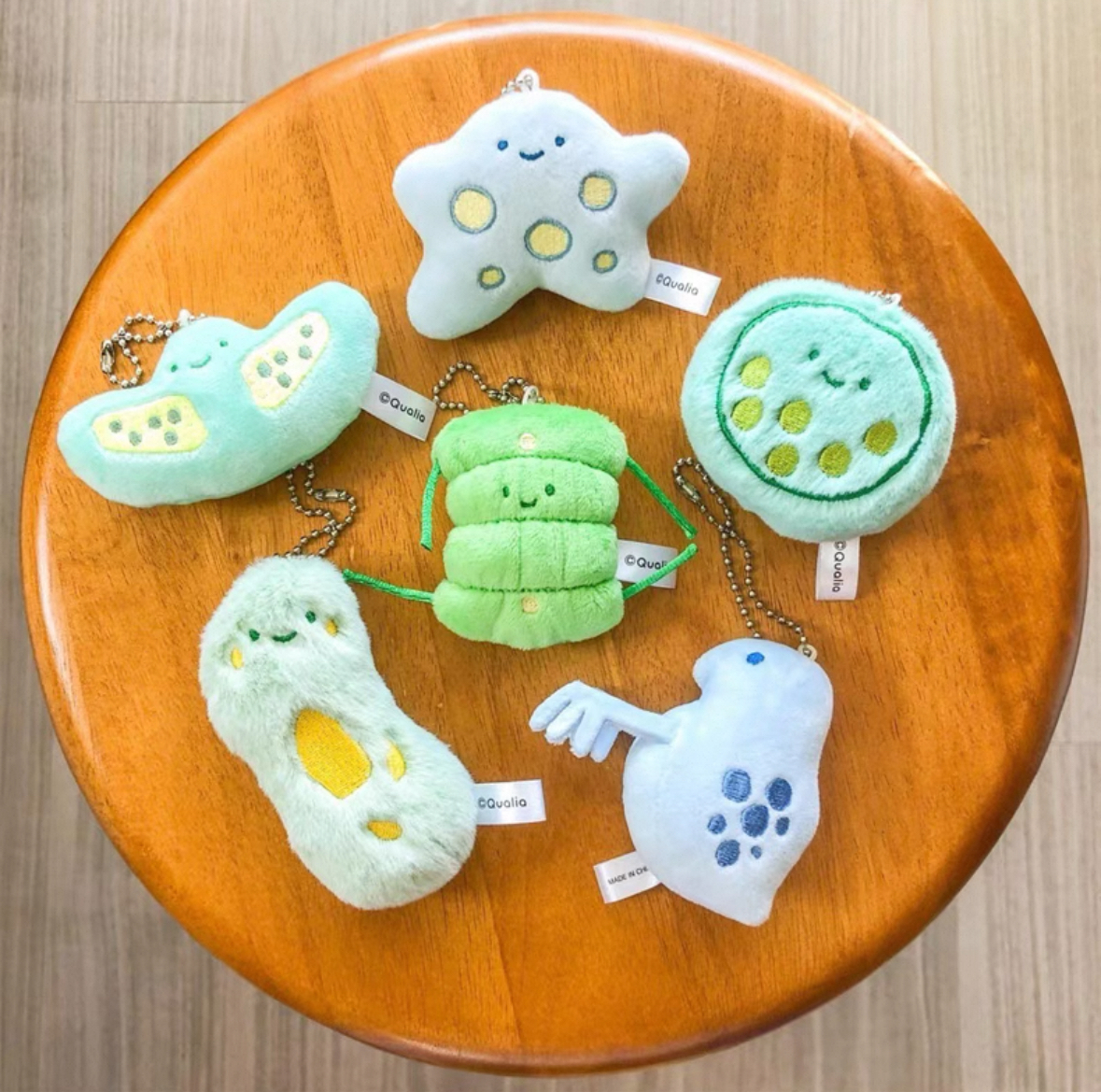 GACHATOY扭蛋QUALIA-微生物系列