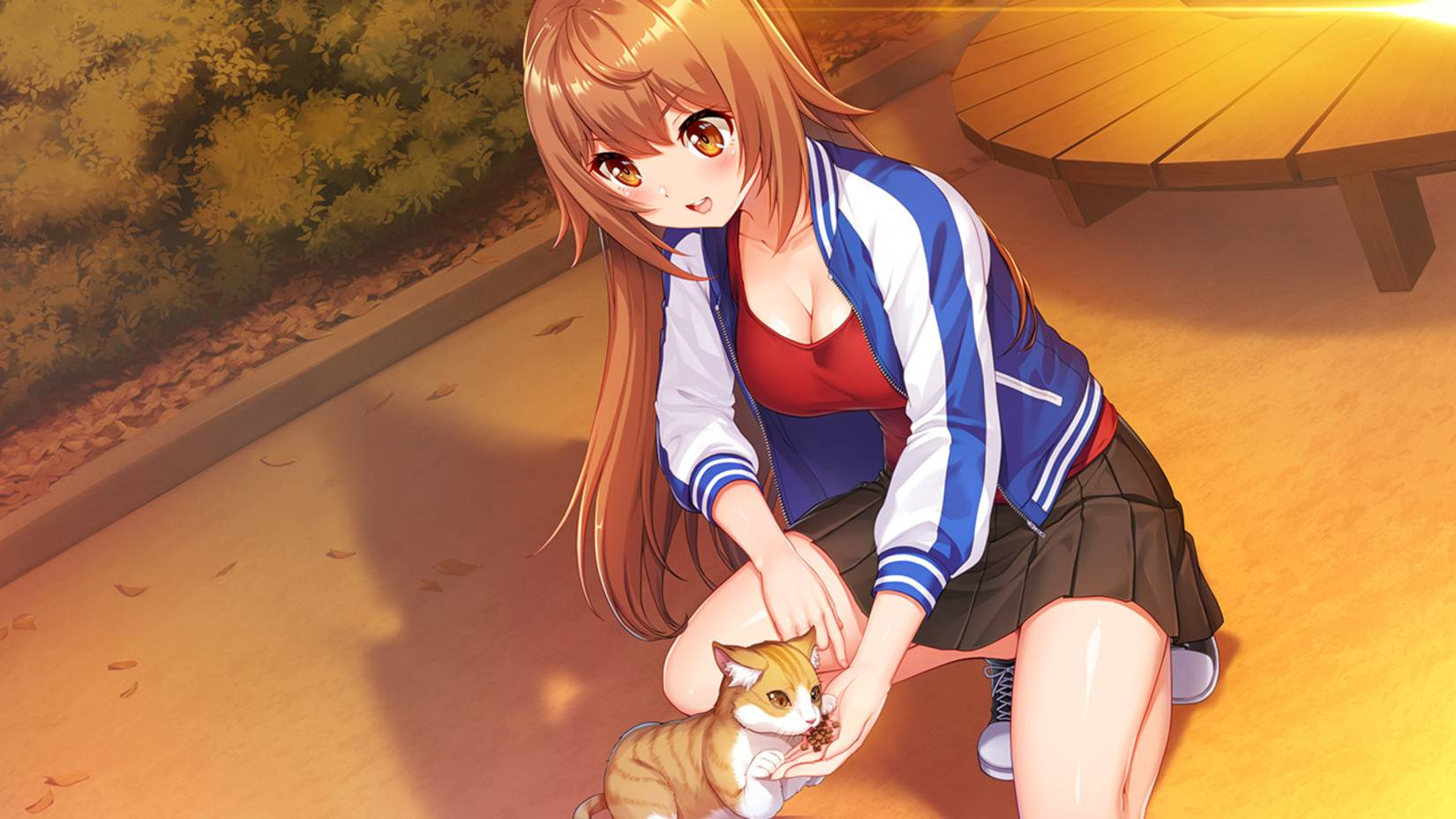 【預售 11/6】NS Days Collection:秋葉原戀愛三部曲 / Days Collection: Akiba Heroines 中/英/日文  (中文封面) PO0755