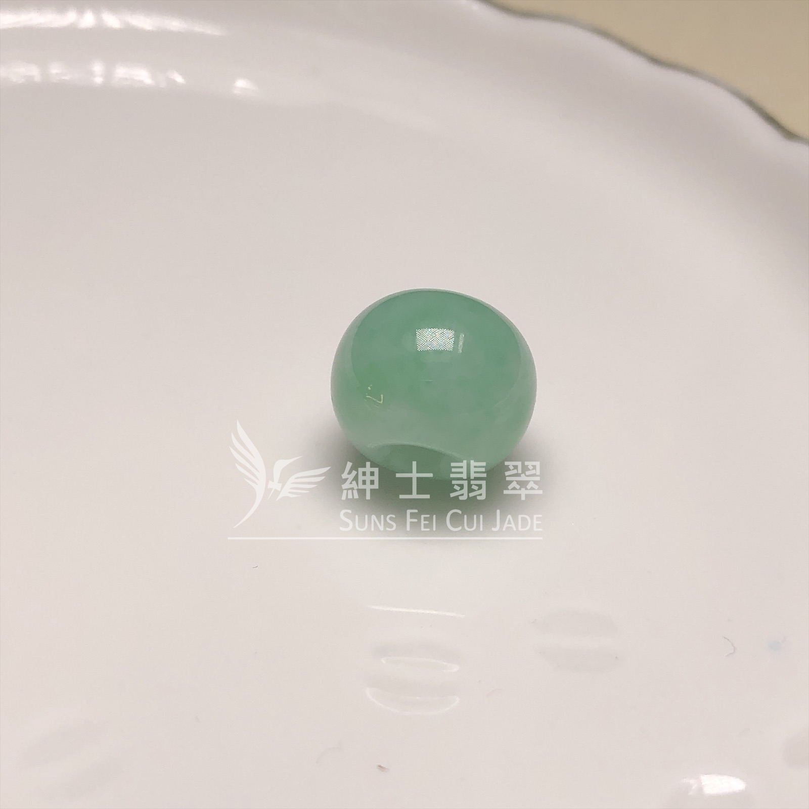  B08593 滿綠路路通