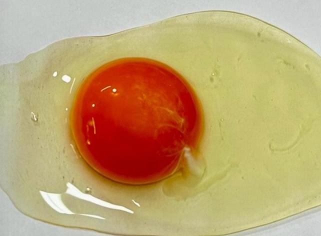 日本<朱雀之赤>高色度雞蛋 Japan White Egg - $60/2盒