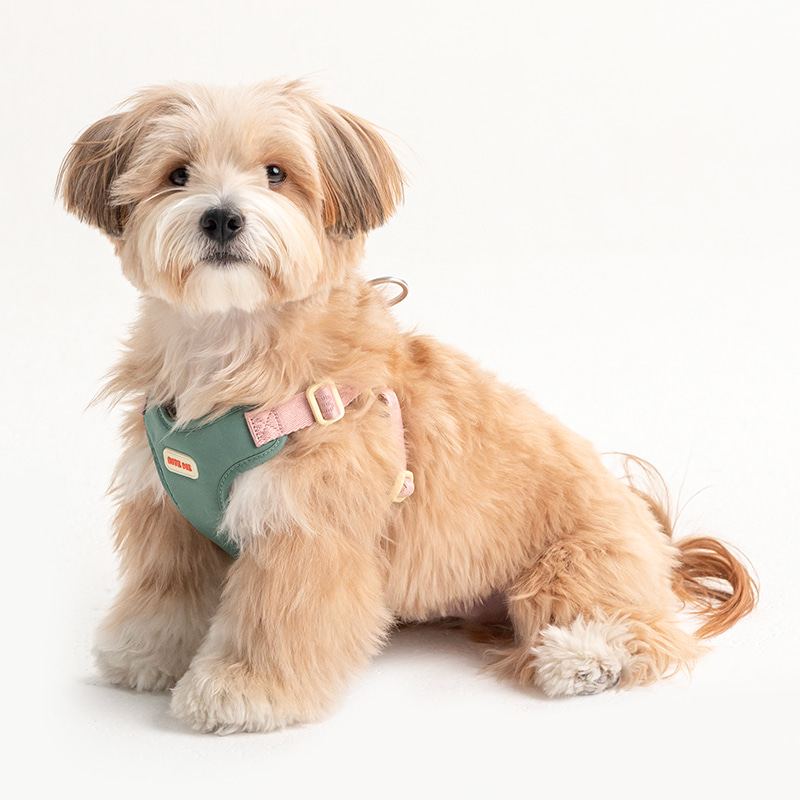 *預購 BiteMe🇰🇷 Comfort Harness v2