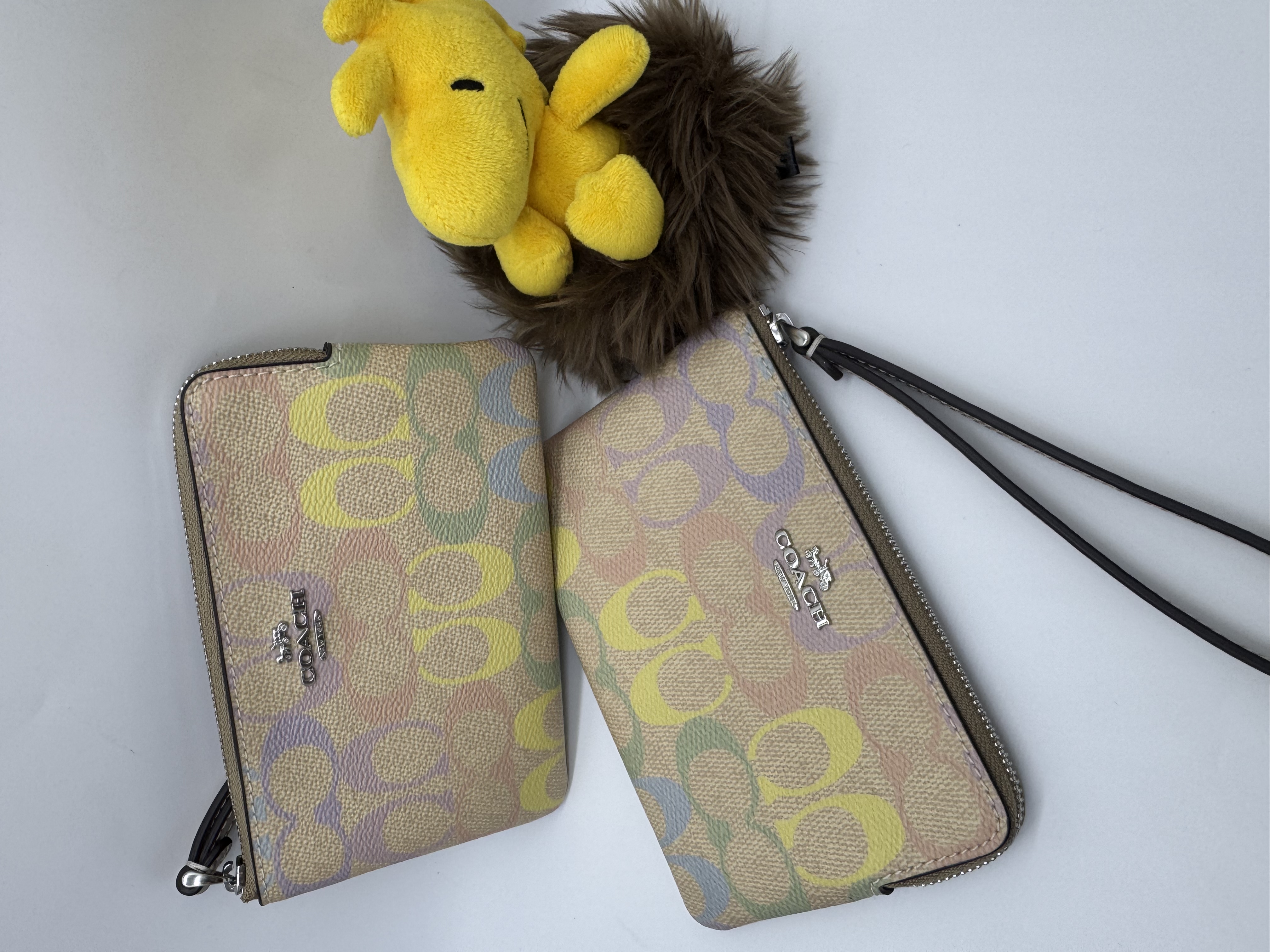 ✈️🇨🇦🇺🇸淡淡嘅彩色Signature C  pattern Coach Outlet 系列：拉鍊袋現貨🌈