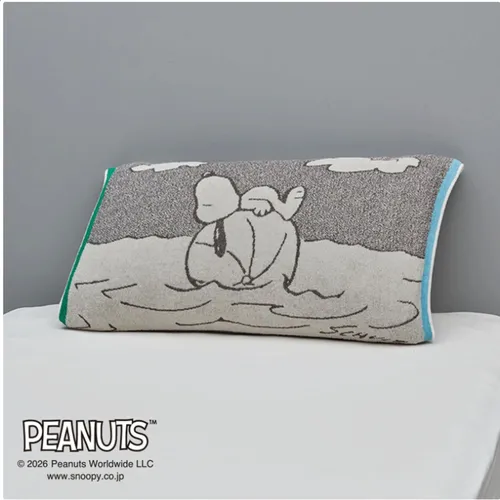 日本直送~新款Snoopy毛巾枕頭套 海灘藍色