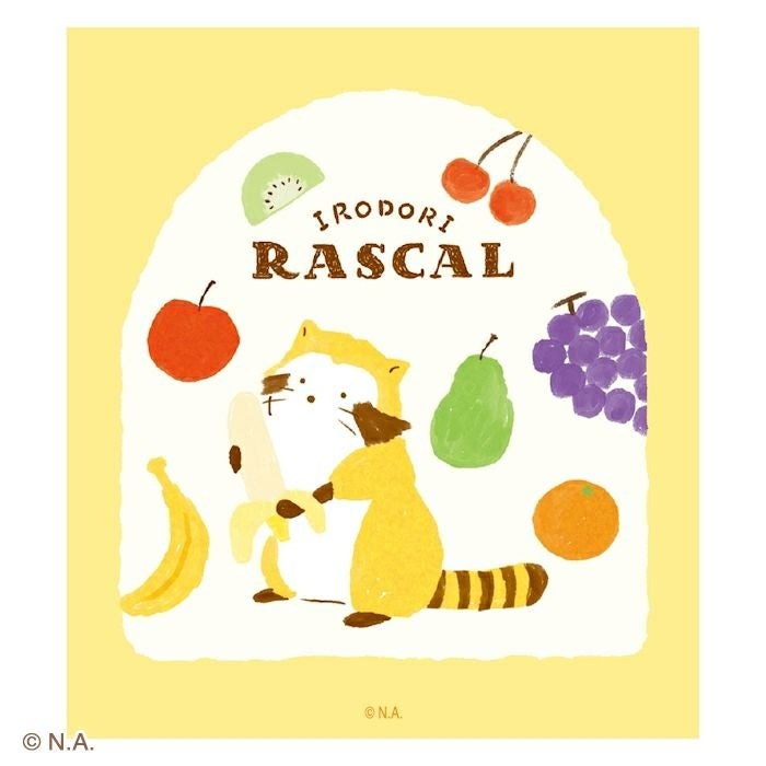 現貨｜IRODORI RASCAL 小浣熊 日本製 便條紙 Memo Notepad (水果 LM394)