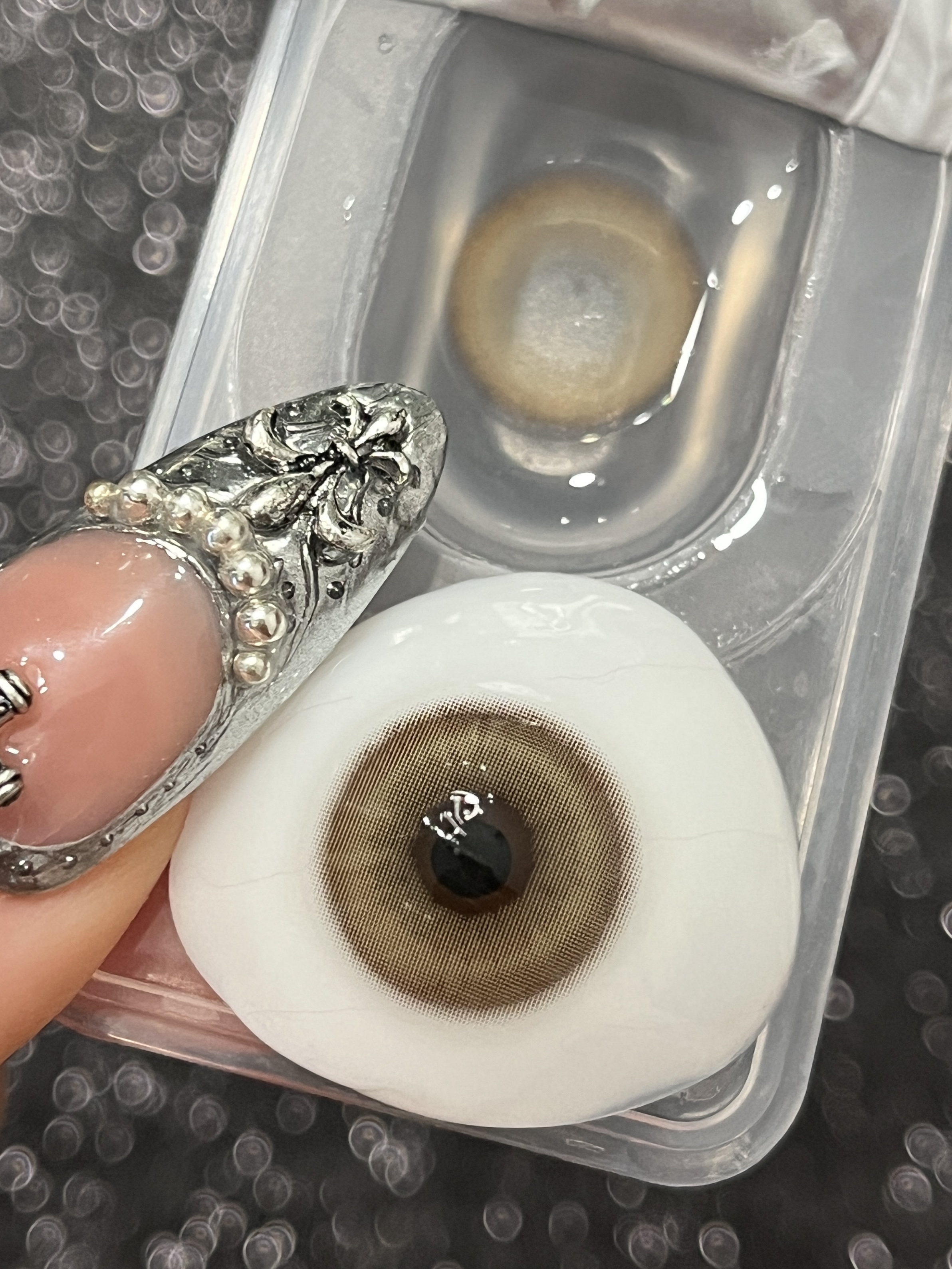 Serltyca 日拋6片裝 青木米灰/青木淺駝