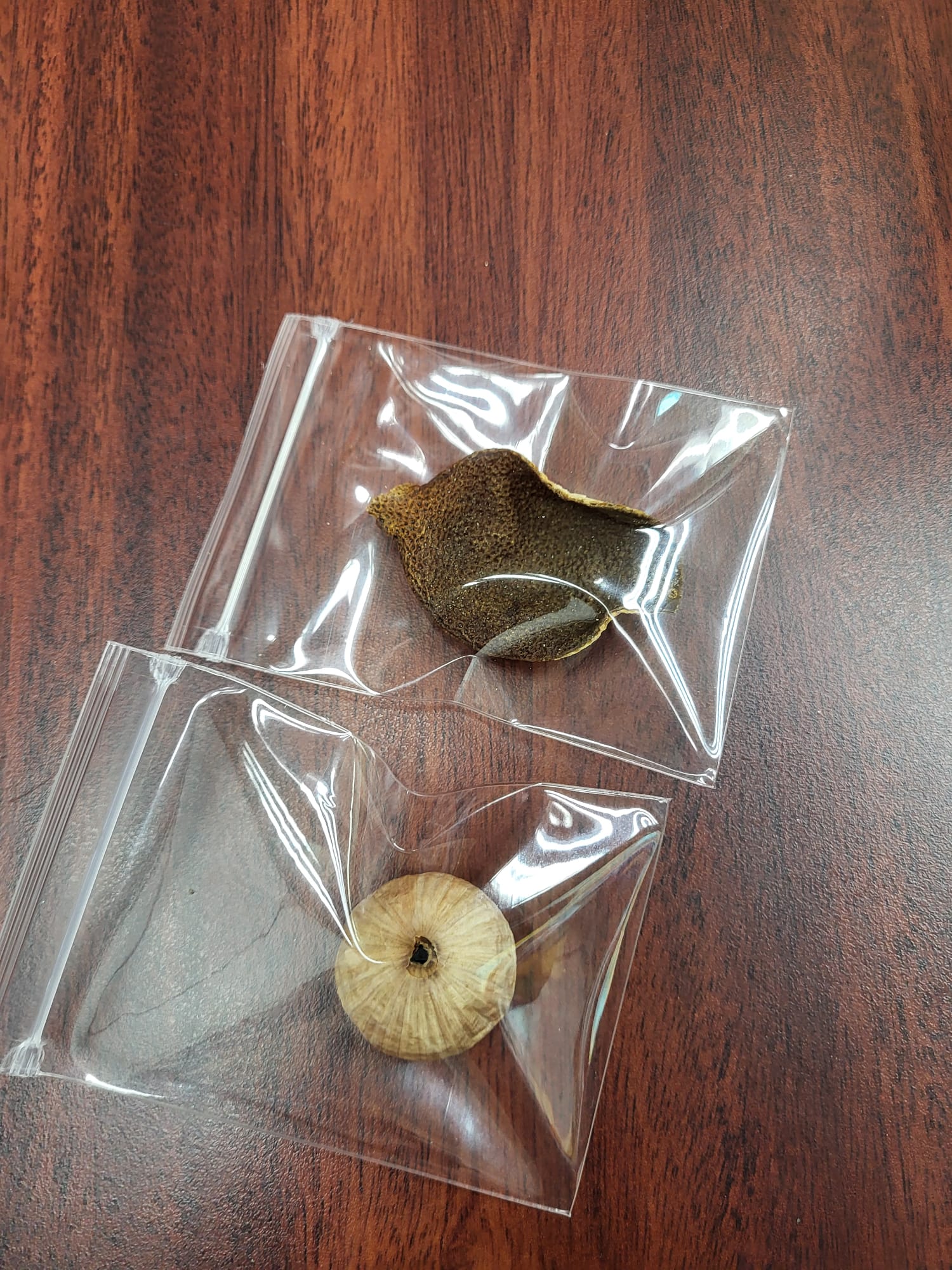 久咳剋星~號印黑金理氣方