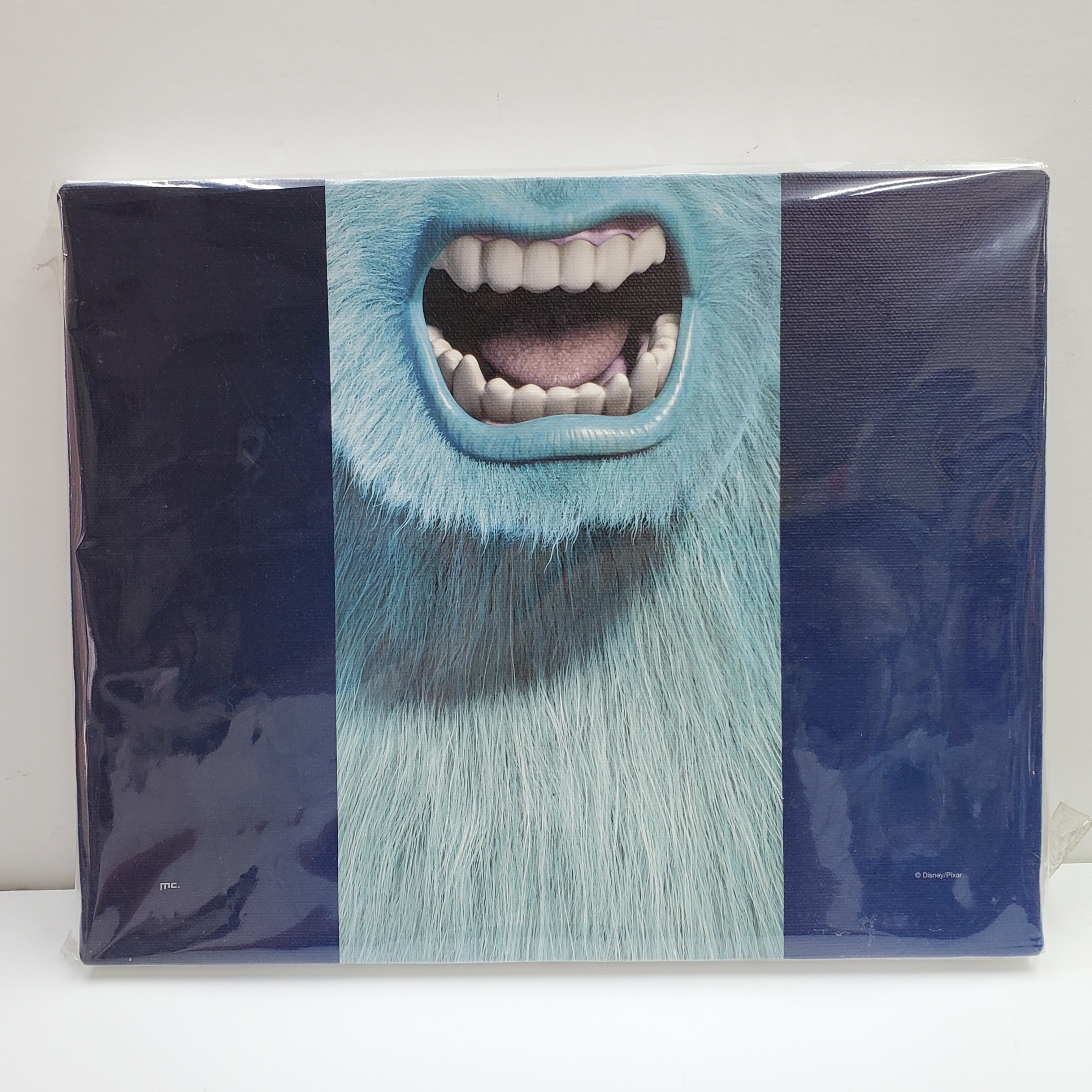 [現貨] [日本直送] SULLEY | 帆布板 {TF2302138}