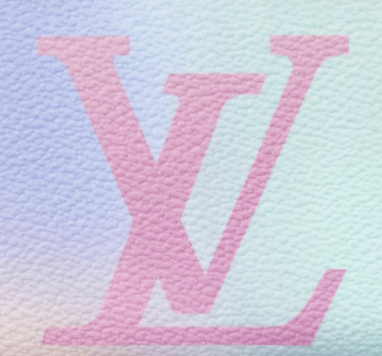 Louis Vuitton 路易威登幻彩錢包