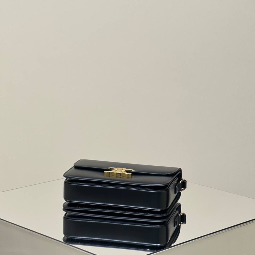 🔥大货实拍图 𝗖𝗘𝗟𝗜𝗡𝗘 ♥ 𝗧𝗥𝗜𝗢𝗠𝗣𝗛𝗘 𝗕𝗢𝗫 型号：187363 中号尺寸：22.5*16*7cm 小号尺寸：18.5*14*6cm