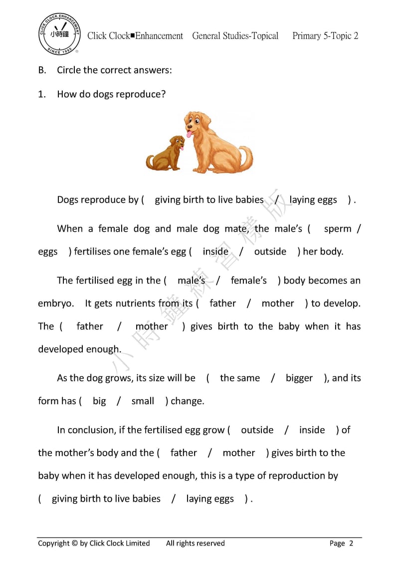 模擬試卷 (五年級)