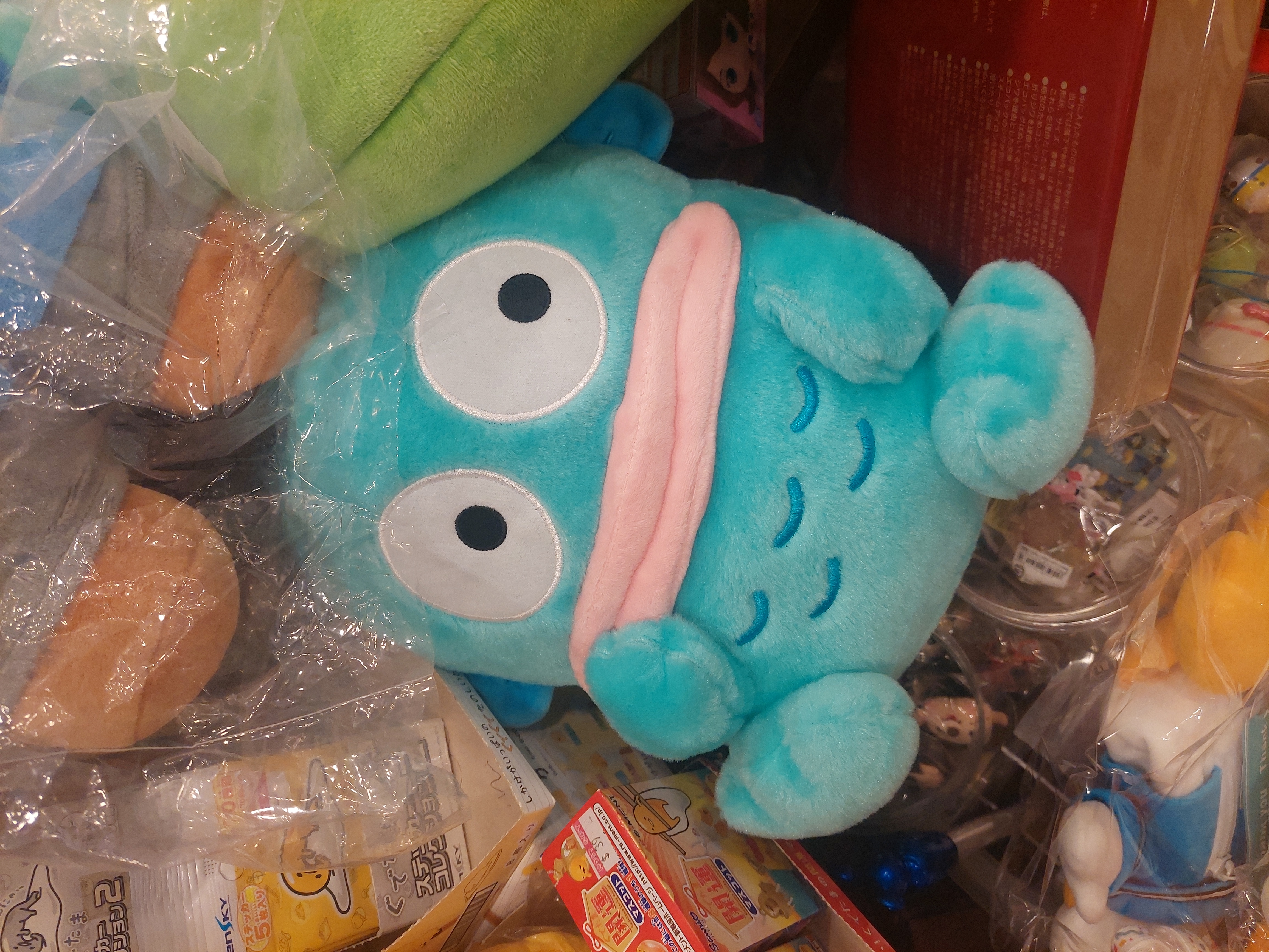 【陳紹恩專用】