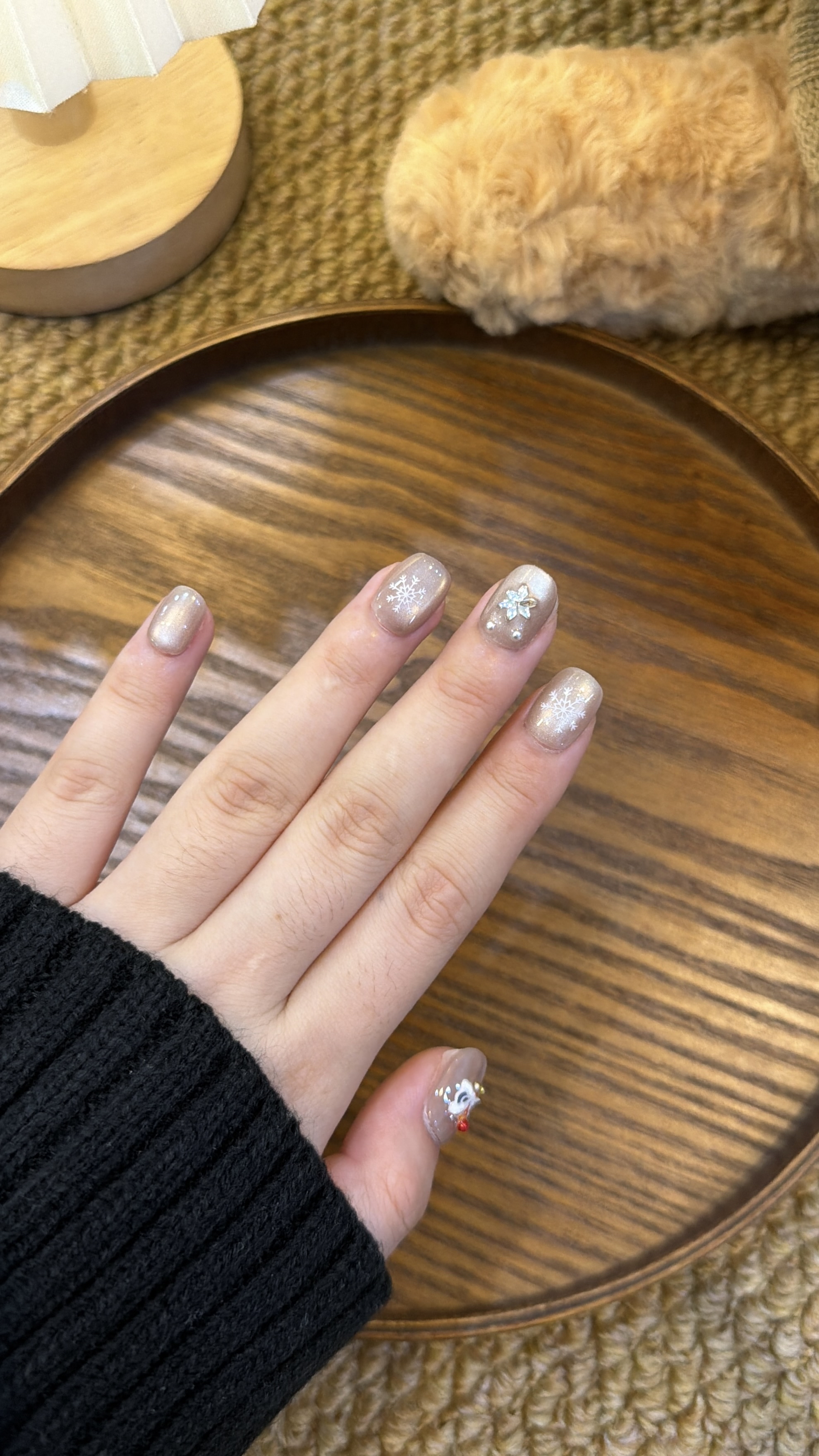 朱砂瑞狮 短方圆