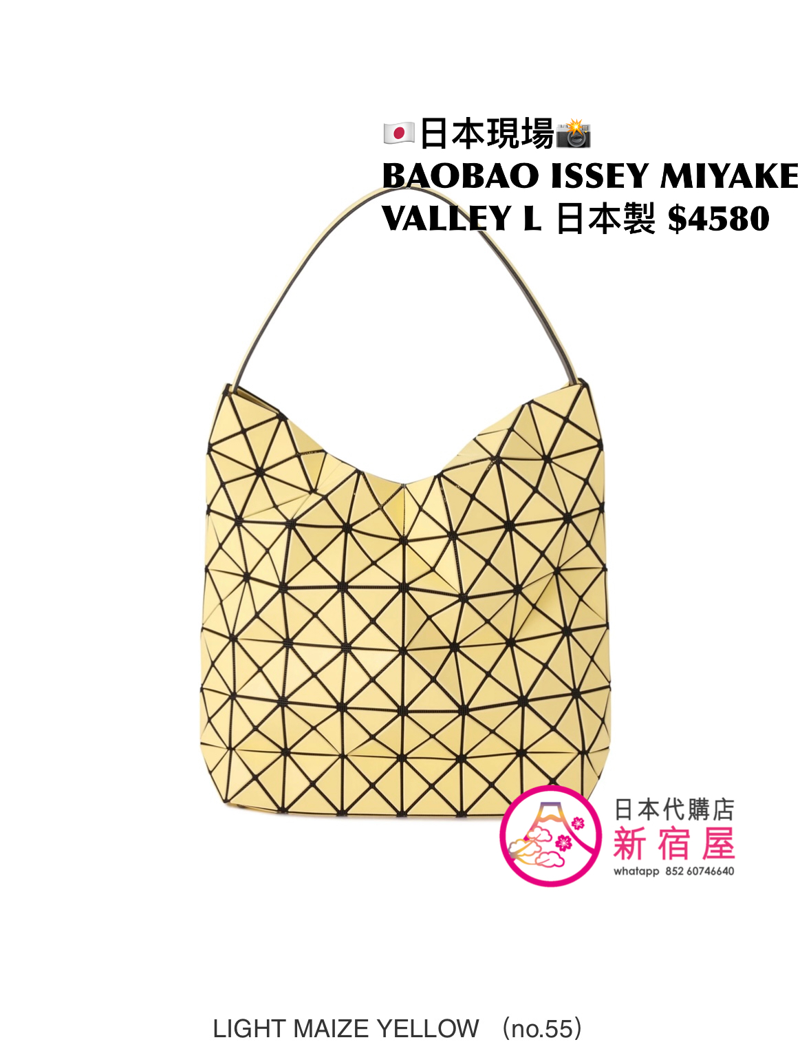 BAOBAO ISSEY MIYAKE VALLEY L